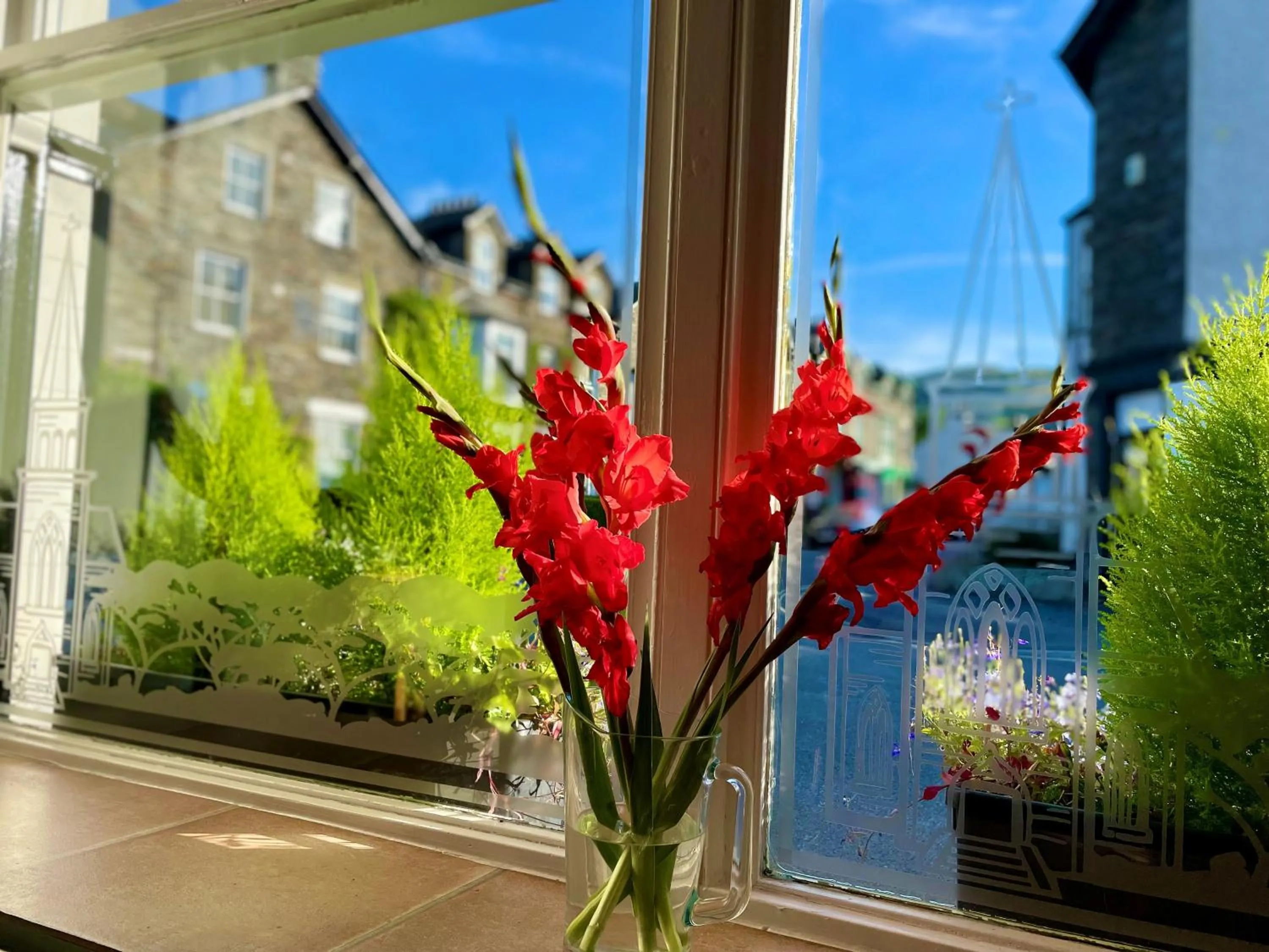 Garden view in Lacet House