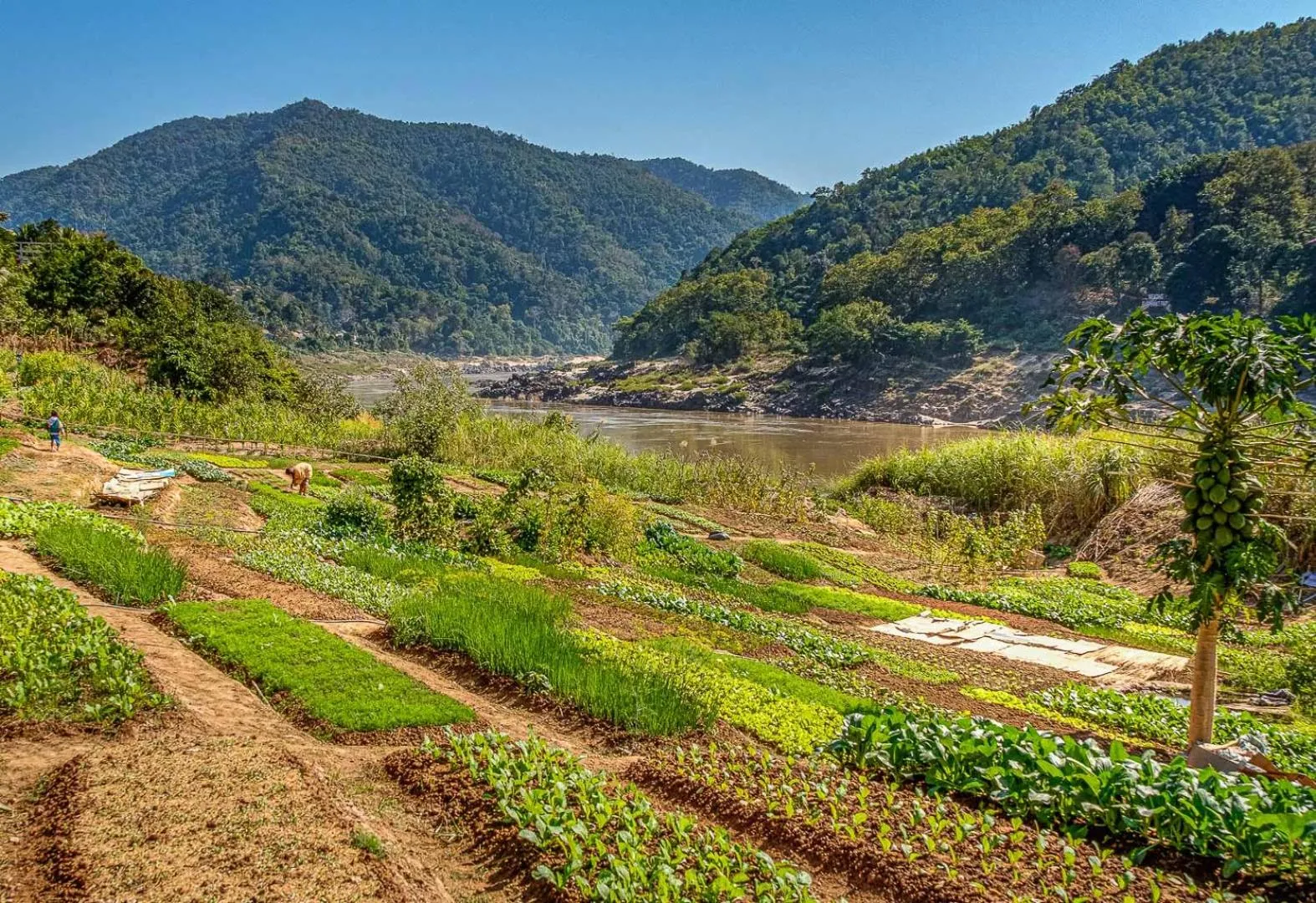 Natural landscape in The Sanctuary Pakbeng Lodge