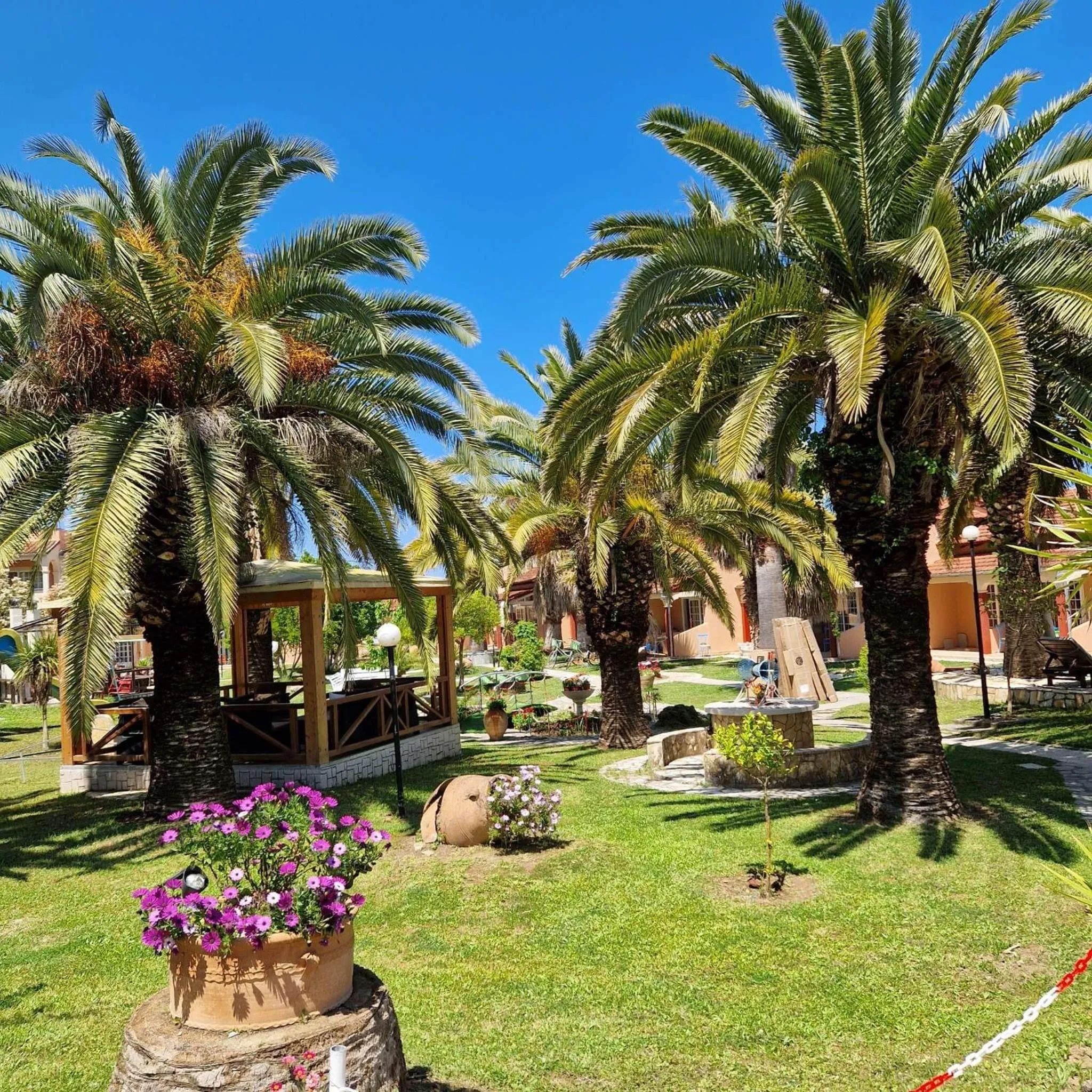 Garden in ABC Sweet Home