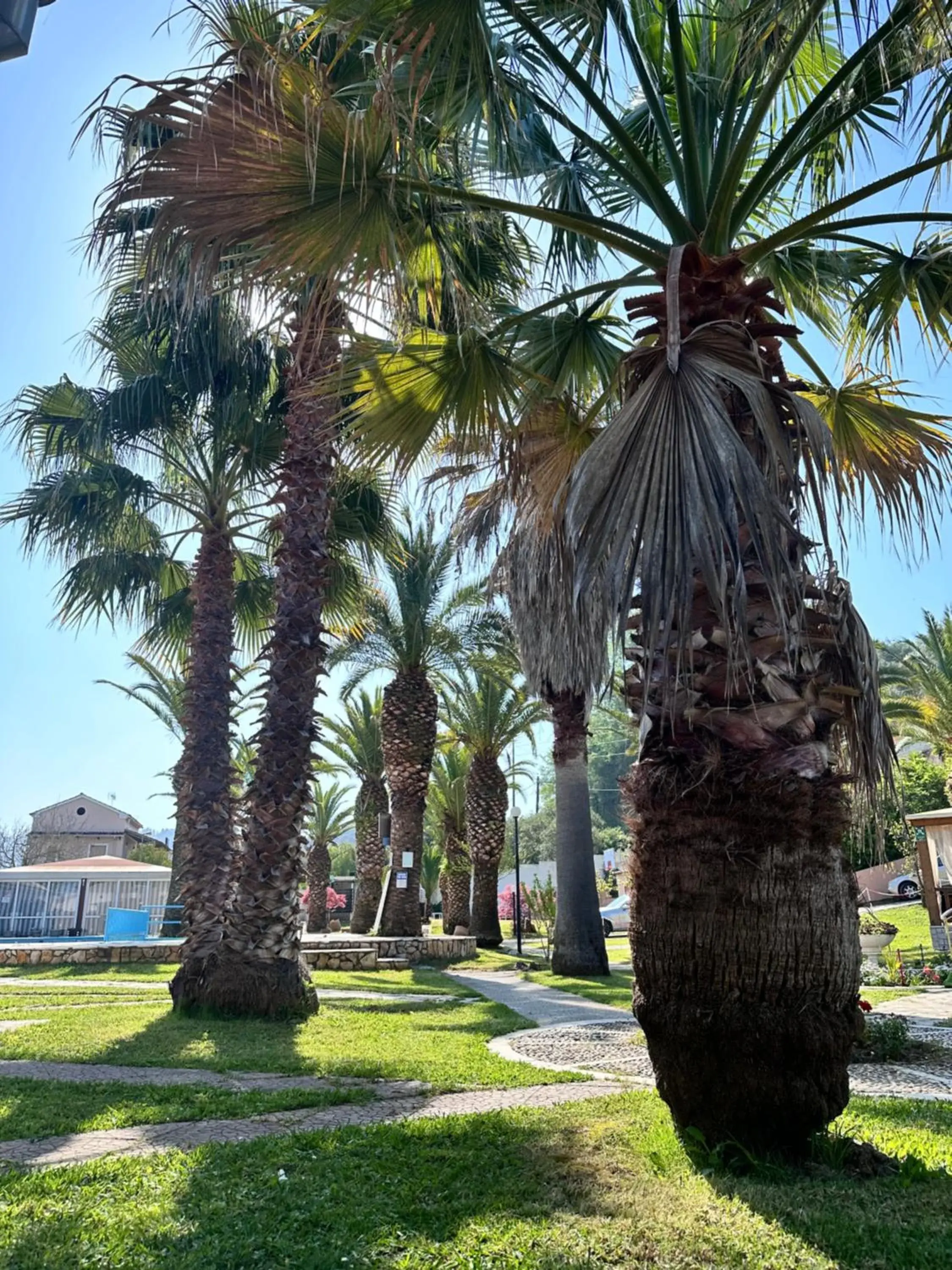 Garden view in ABC Sweet Home Garden view in ABC Sweet Home