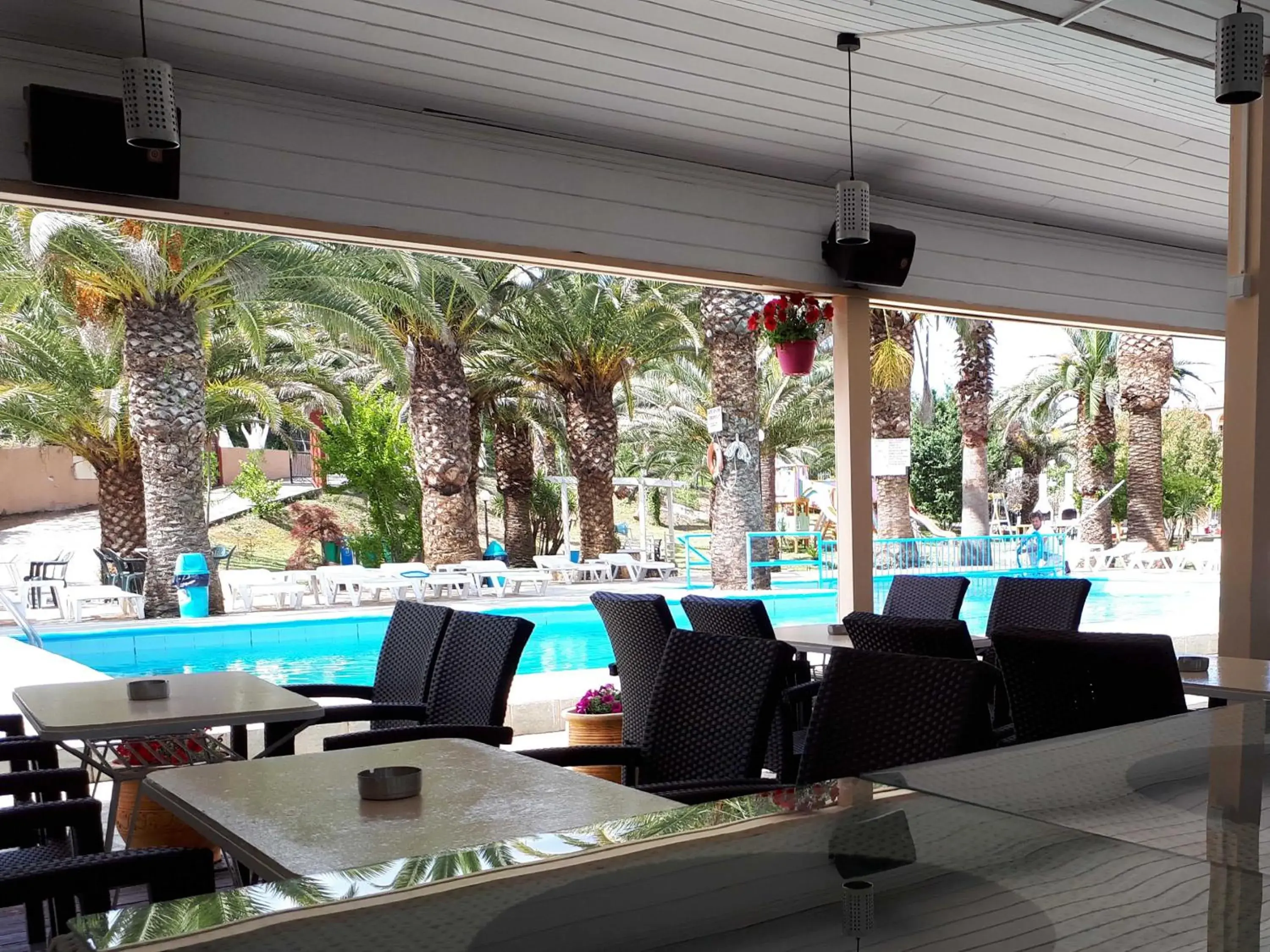 Lounge or bar in ABC Sweet Home Lounge or bar in ABC Sweet Home