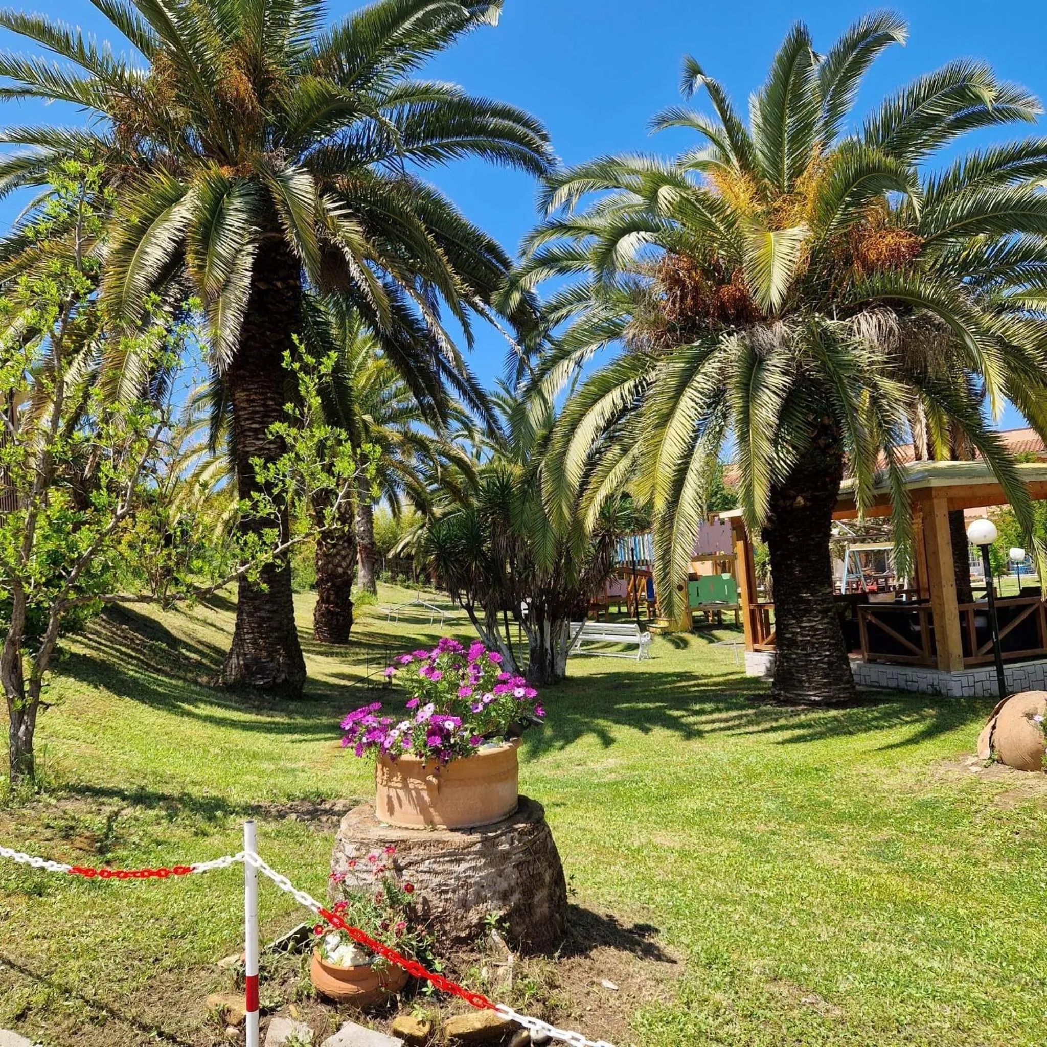 Garden in ABC Sweet Home