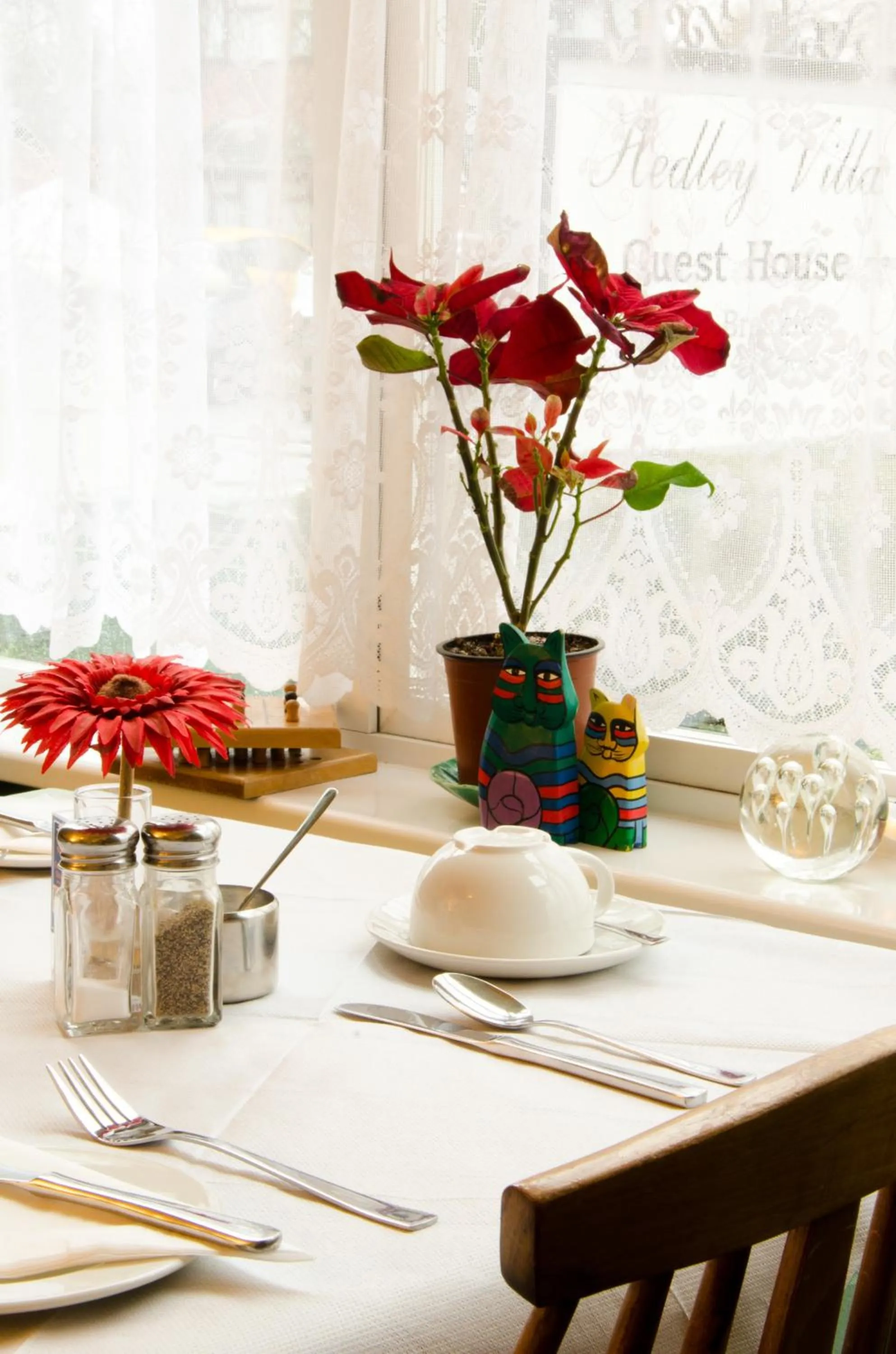 Hedley Villa Guest House