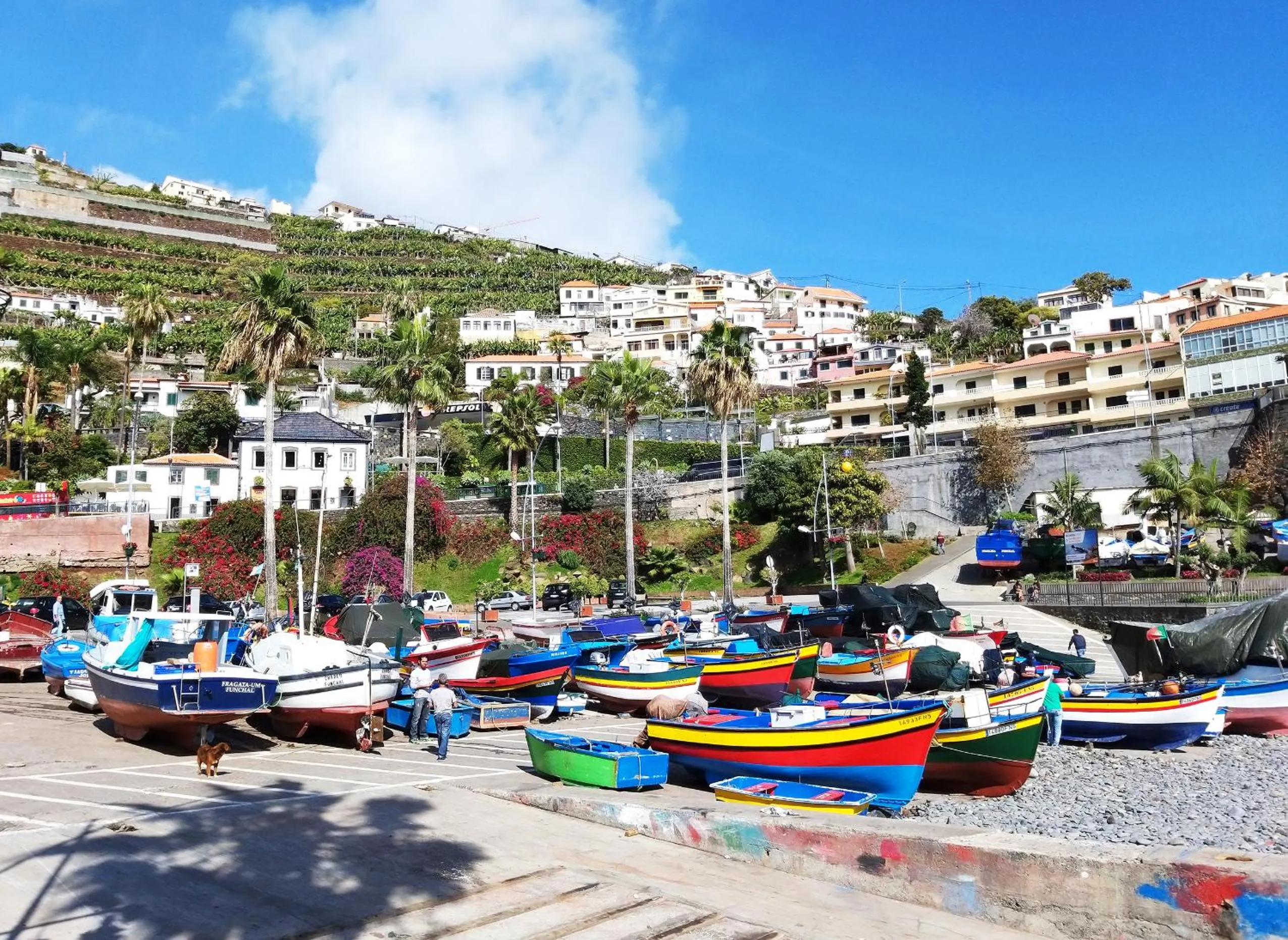 Canoeing in Pestana Churchill Bay