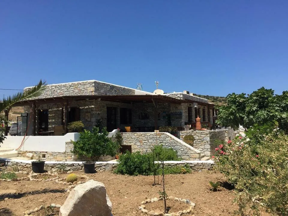 Nektarios Fanos Studios