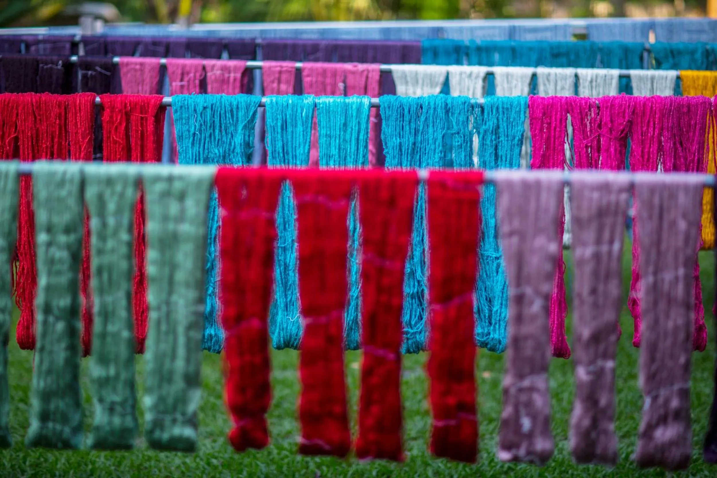 Activities in Ock Pop Tok Mekong Villa