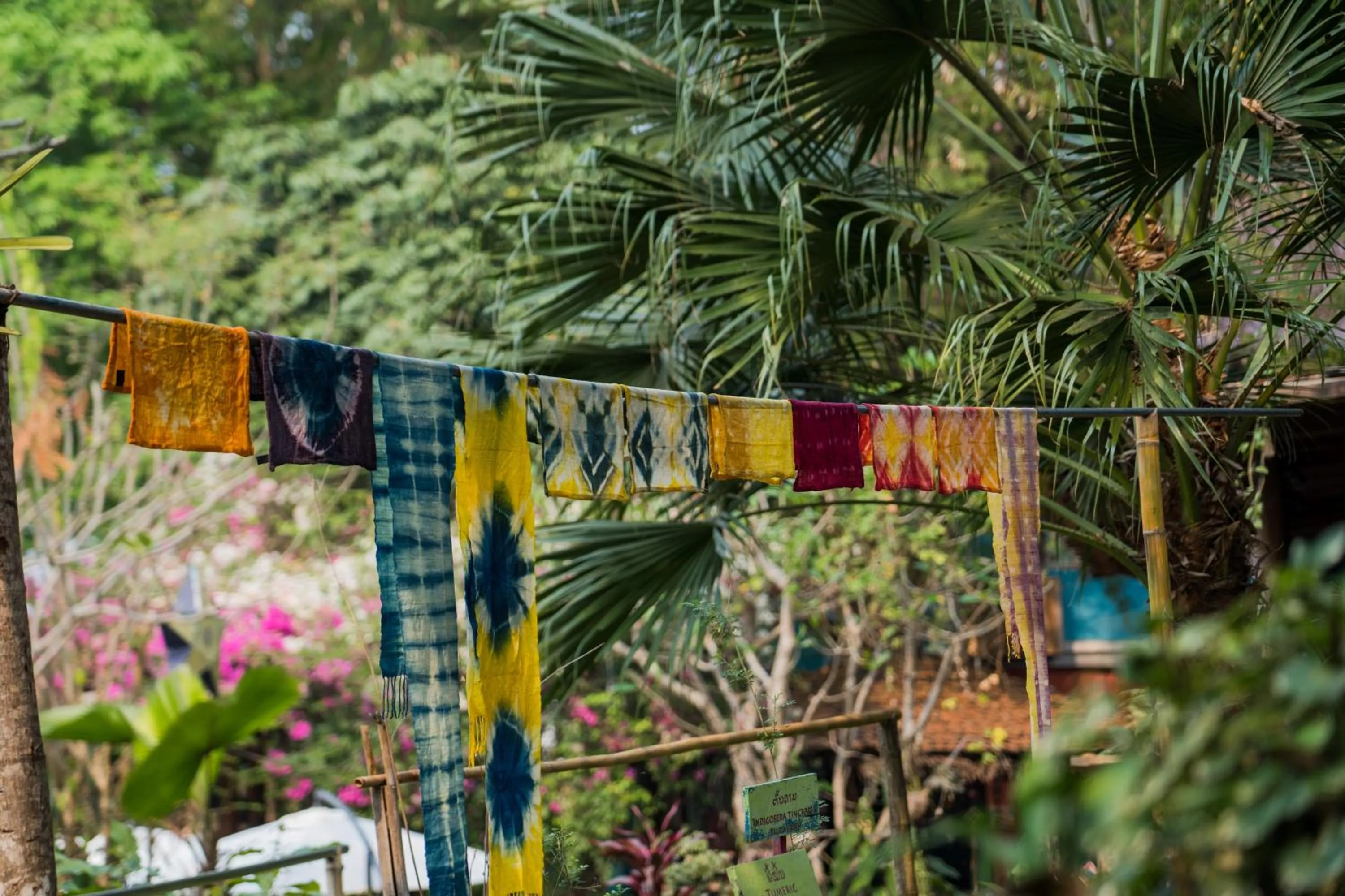 Activities in Ock Pop Tok Mekong Villa