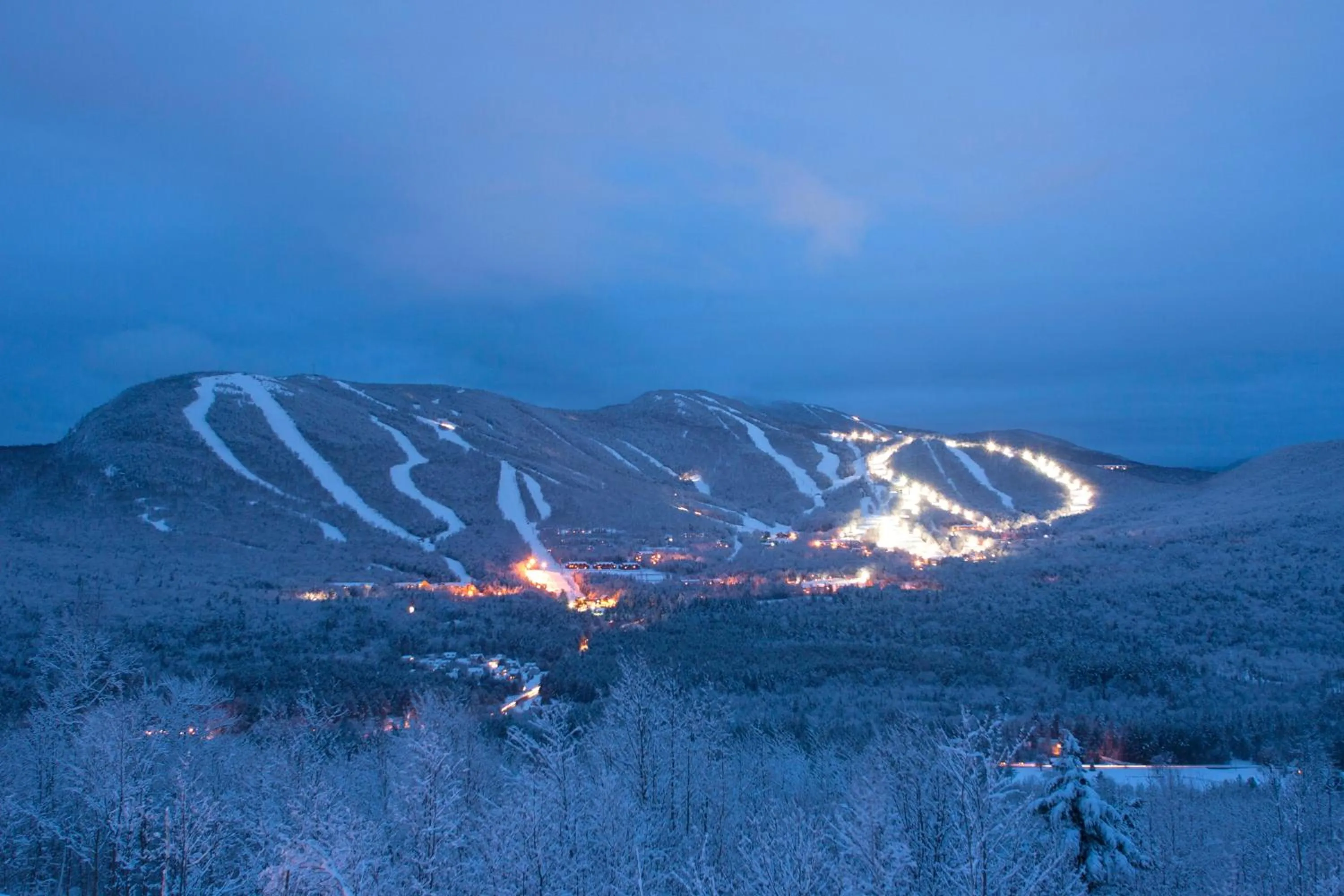 Natural landscape in Snow Cap Inn