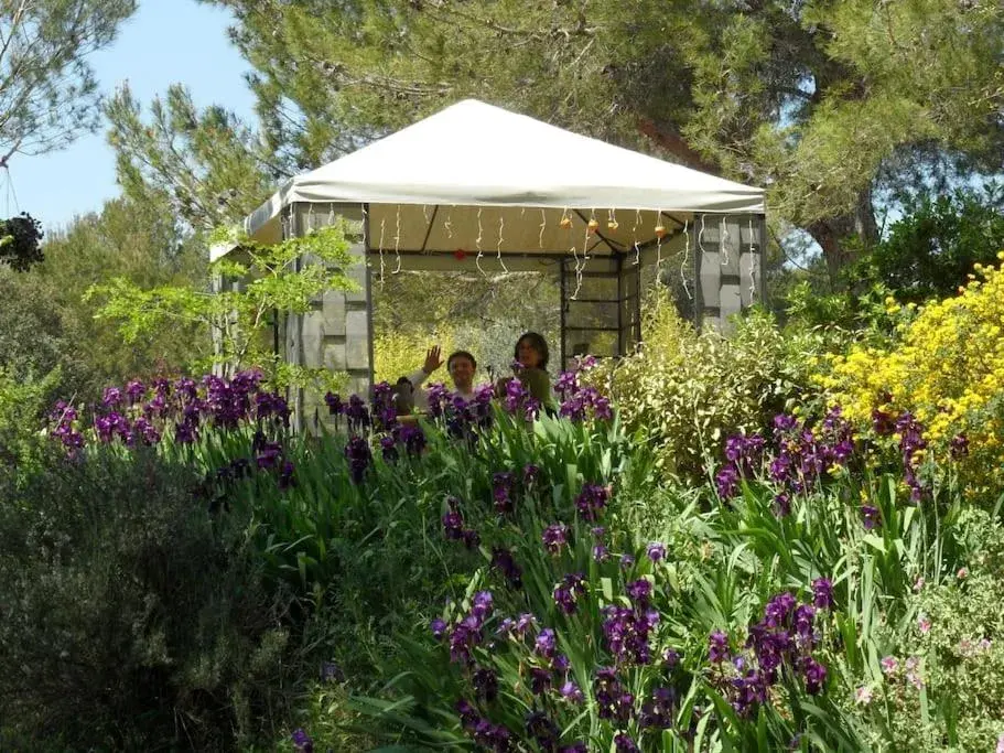 Large Double Room in L'OLIVERAIE EN PROVENCE Large Double Room in L'OLIVERAIE EN PROVENCE