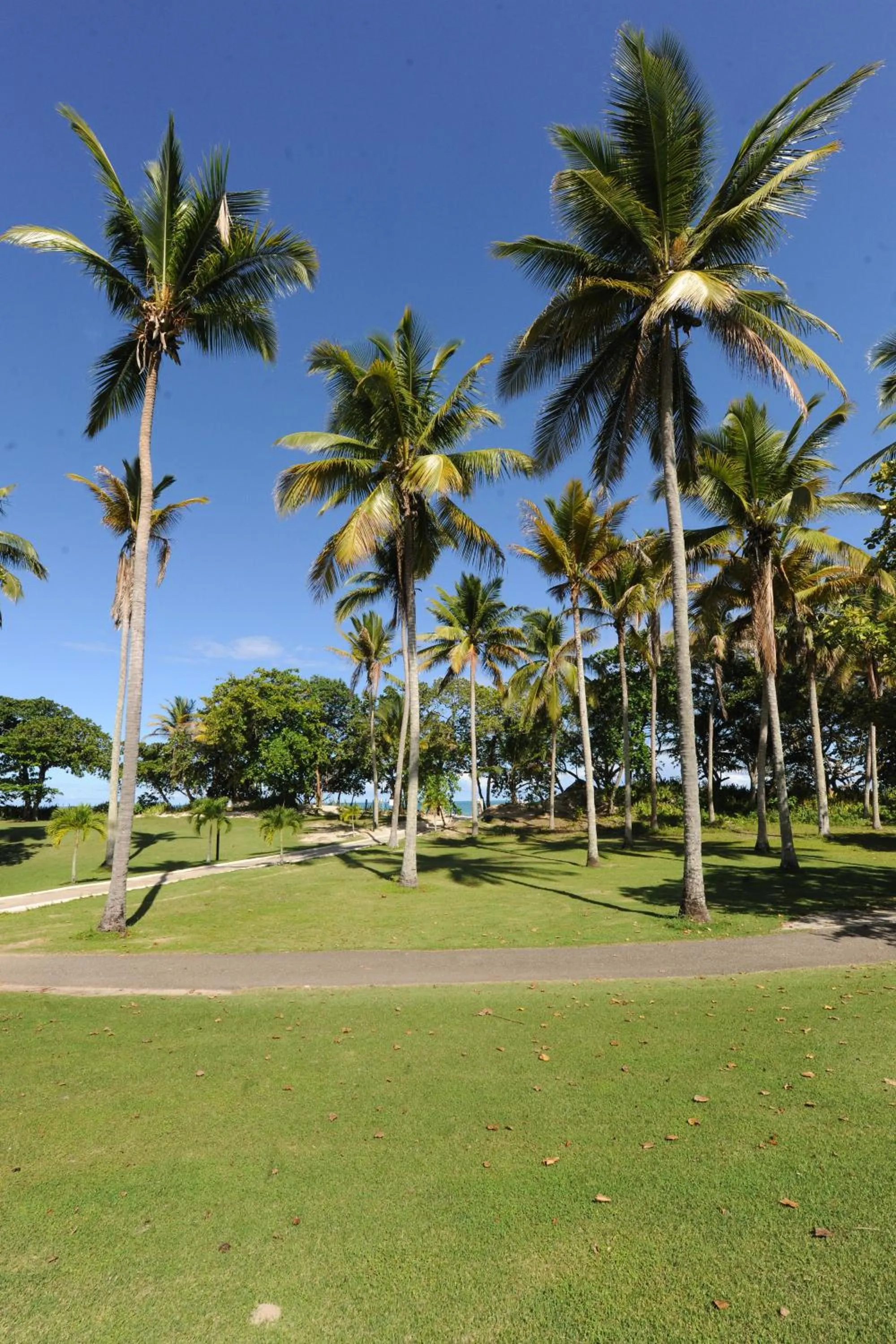 Golfcourse in Blue JackTar