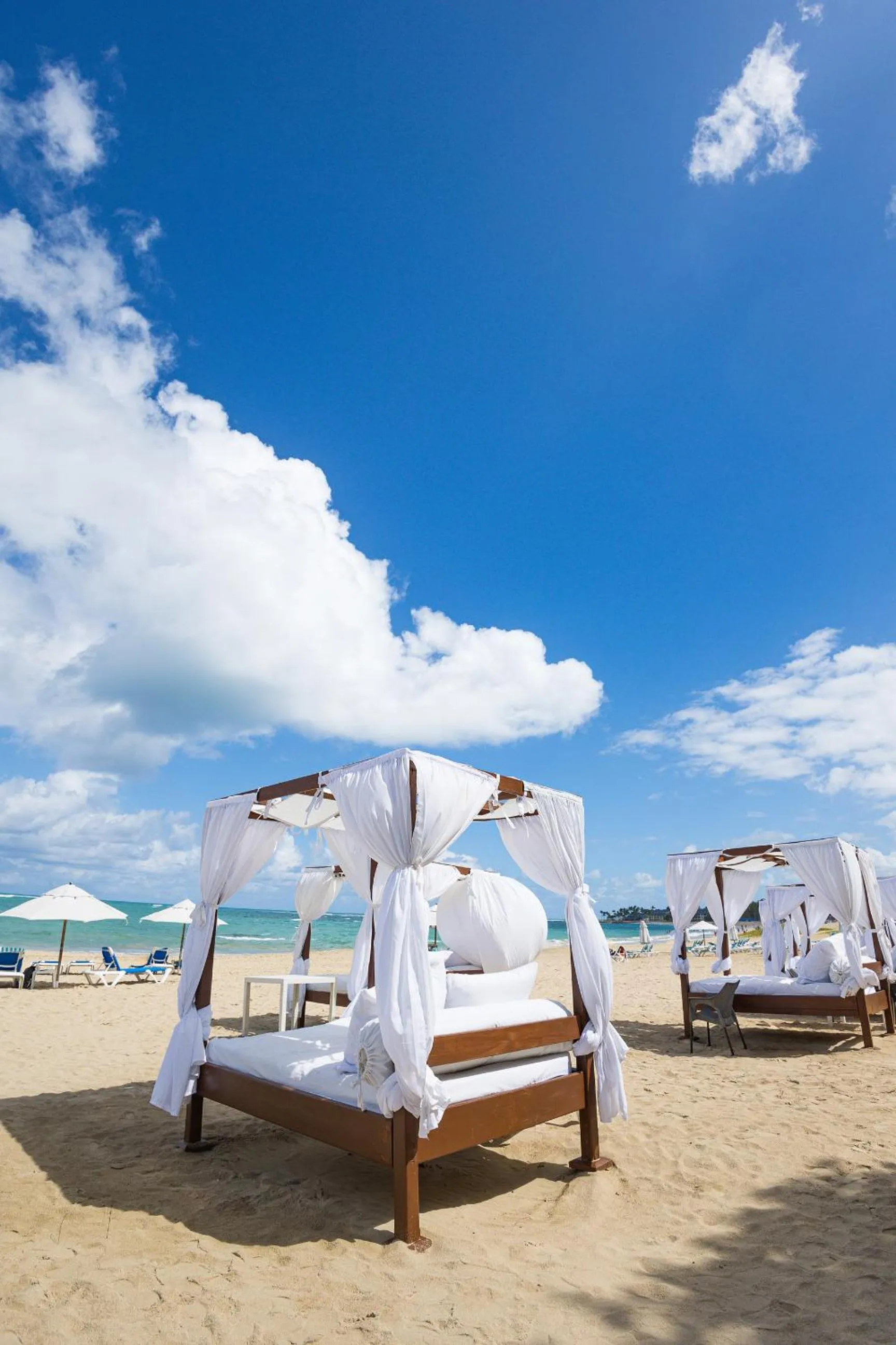 Beach in Blue JackTar