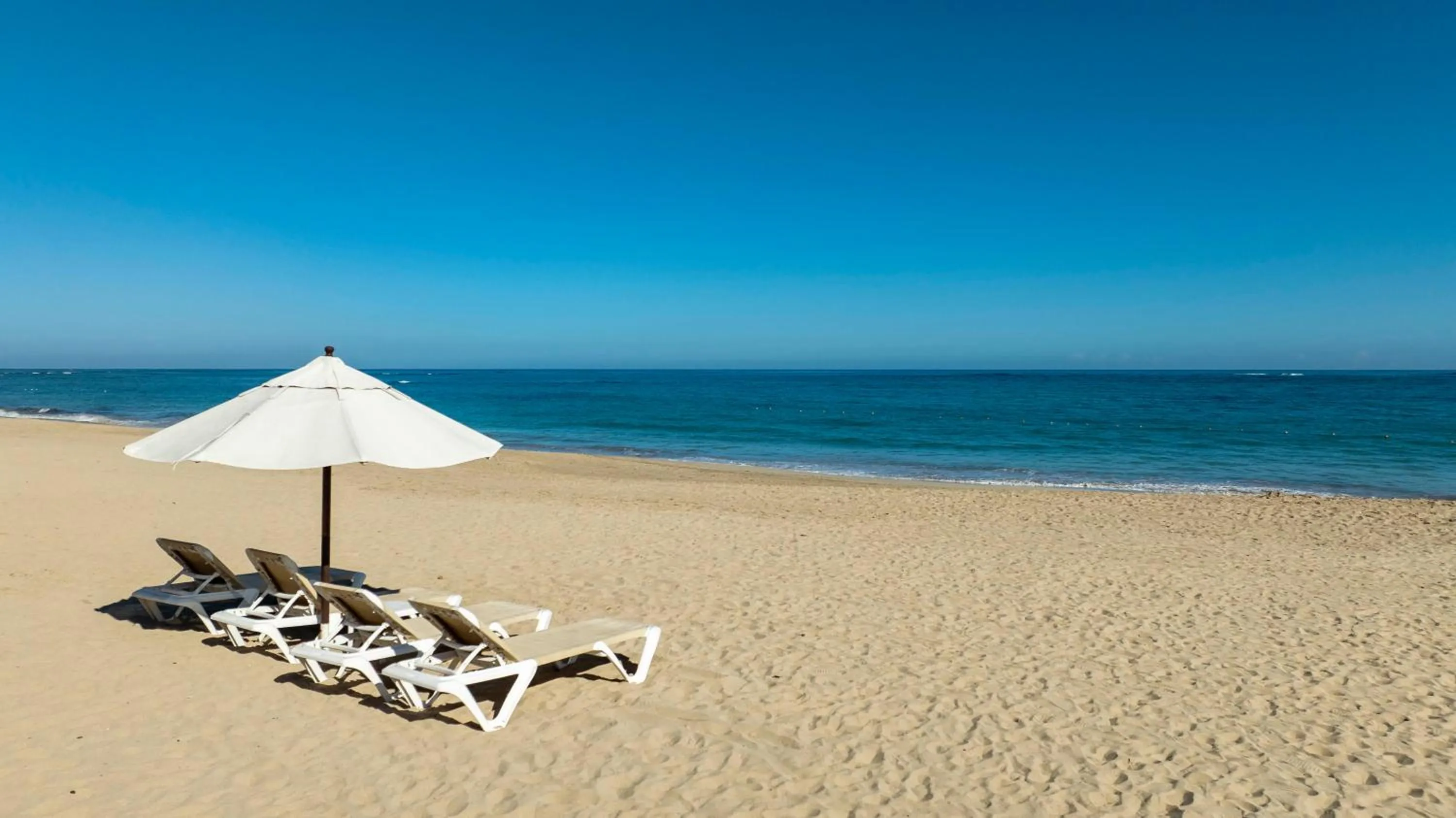 Beach in Blue JackTar