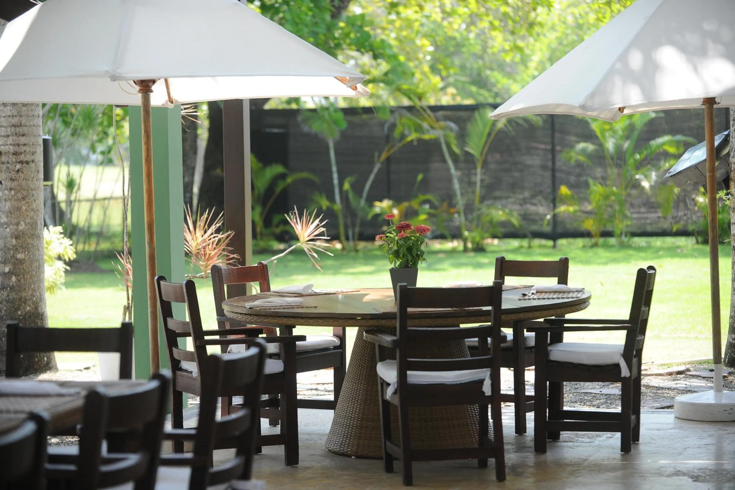 Restaurant/places to eat in Blue JackTar