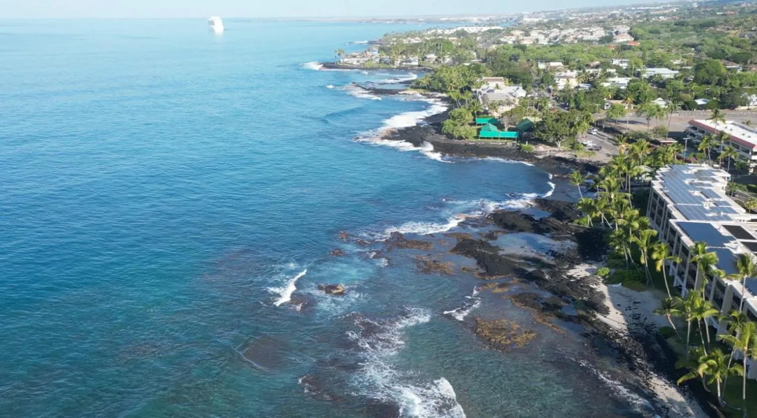 Property building in Oceanfront Luxury Condo