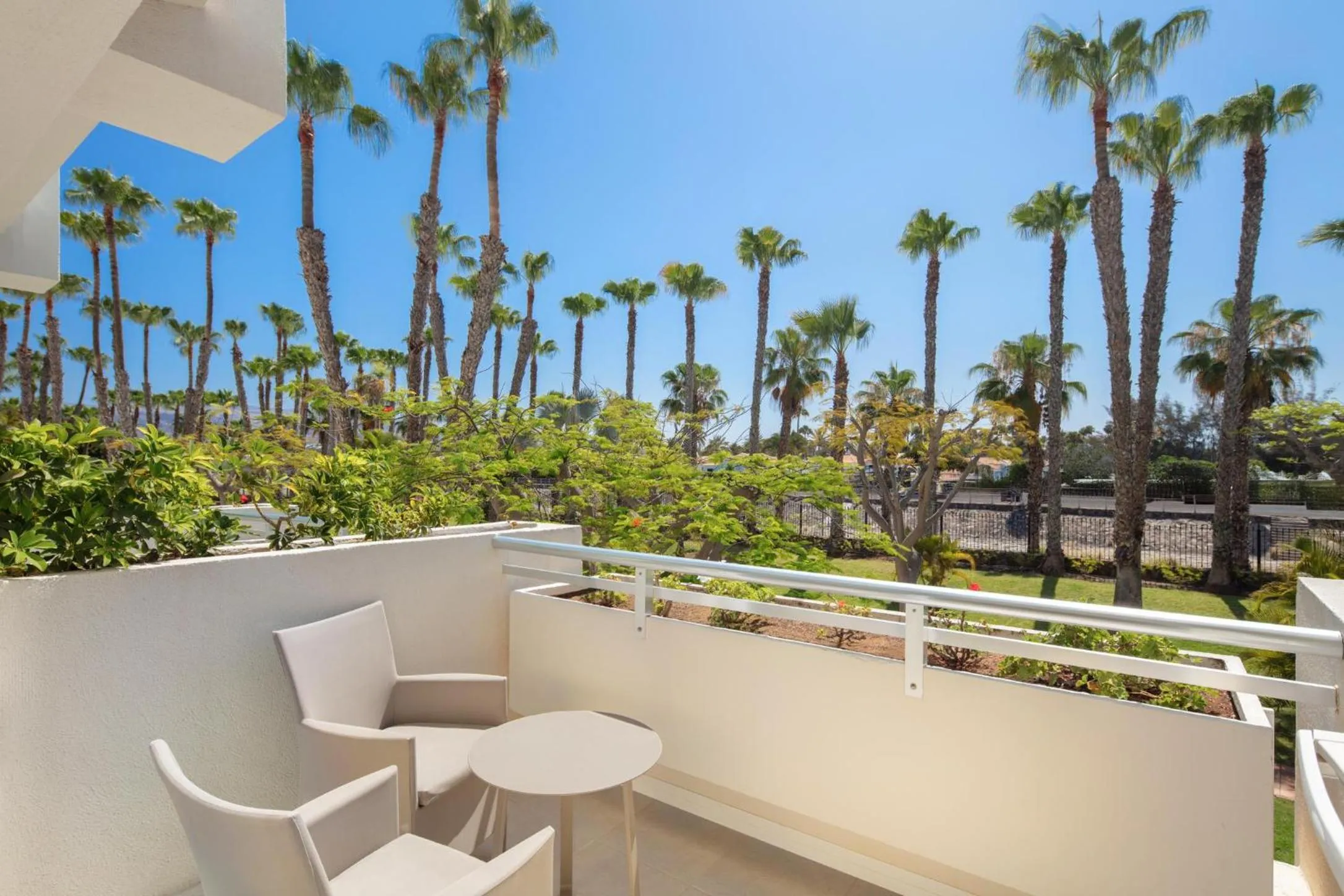 Photo of the whole room in Tabaiba Princess