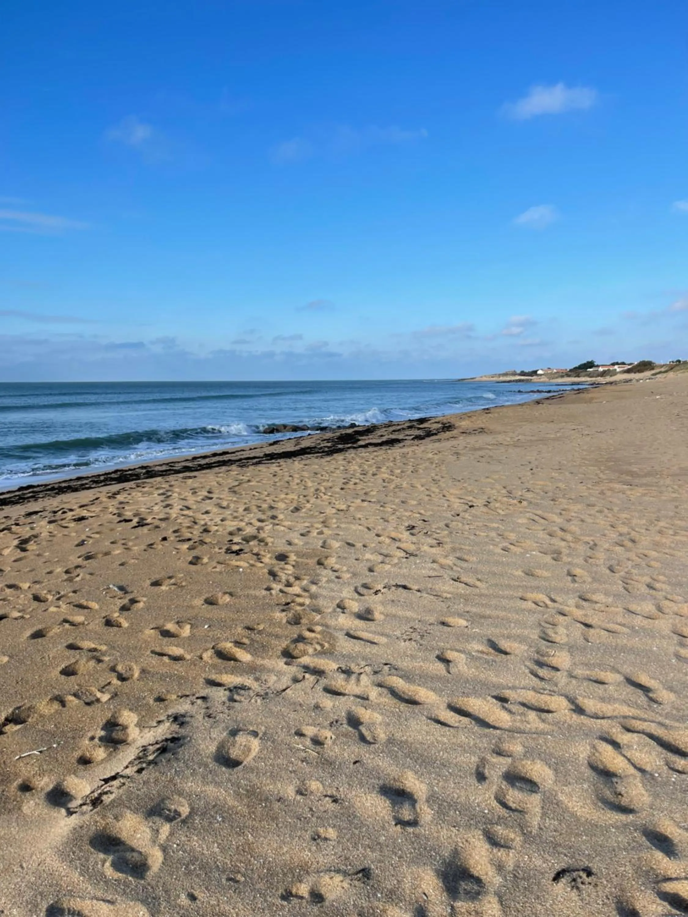 Beach in Clos des Aigrettes -6 Gîtes de charme et confort à 30m du Port de La Cotinière