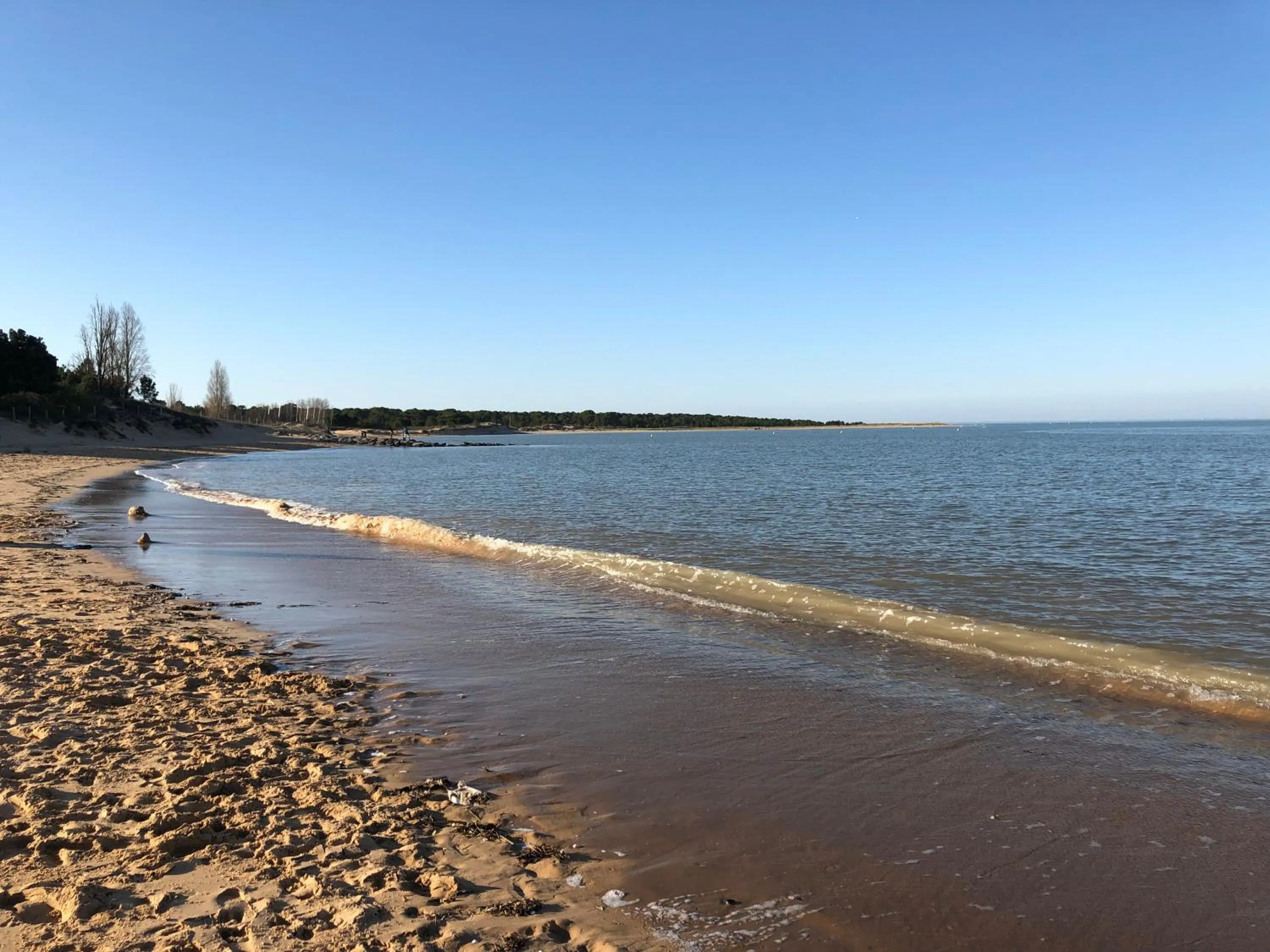 Natural landscape in Clos des Aigrettes -6 Gîtes de charme et confort à 30m du Port de La Cotinière