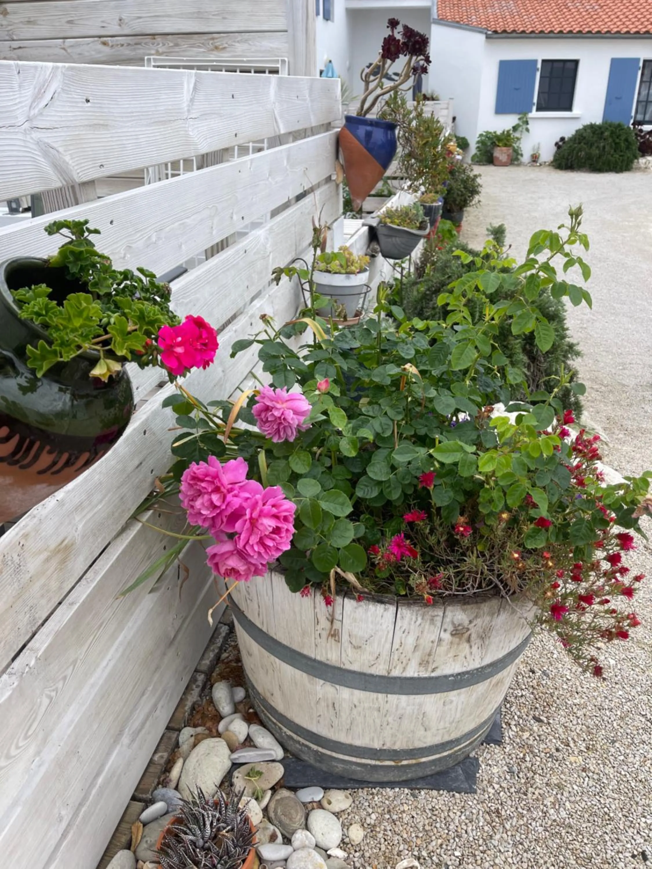 Property building in Clos des Aigrettes -6 Gîtes de charme et confort à 30m du Port de La Cotinière