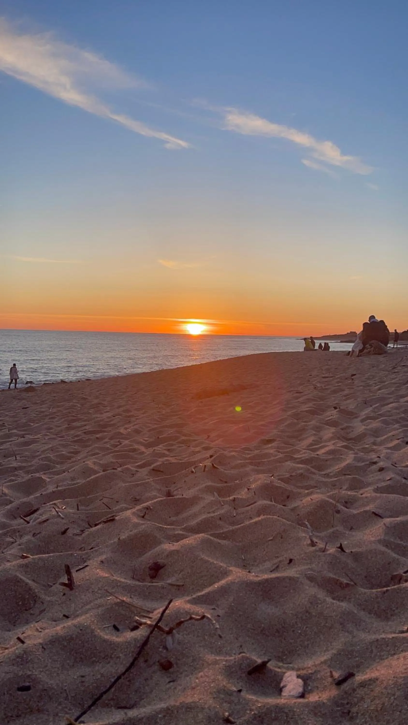 Beach in Clos des Aigrettes -6 Gîtes de charme et confort à 30m du Port de La Cotinière