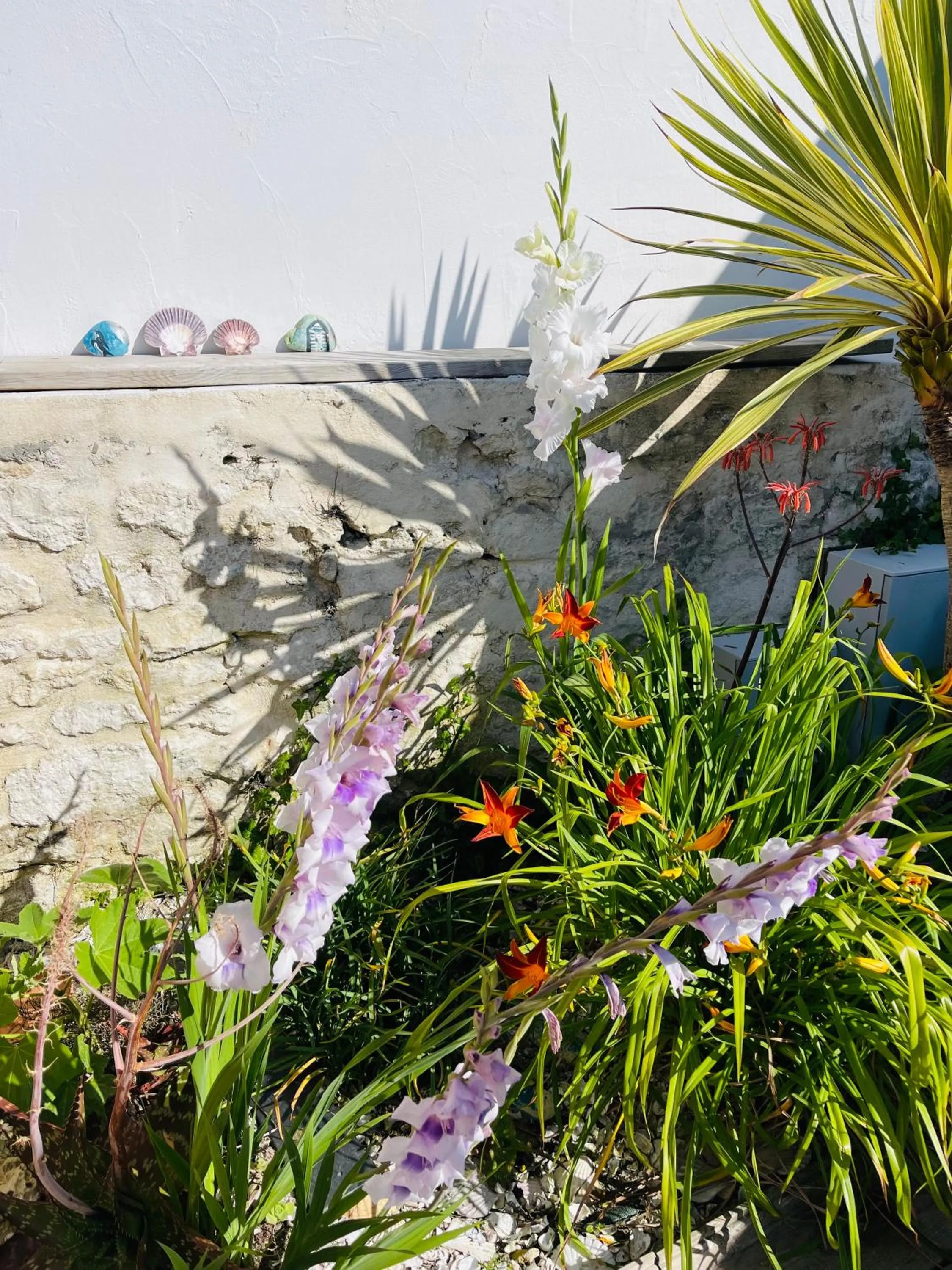 Garden in Clos des Aigrettes -6 Gîtes de charme et confort à 30m du Port de La Cotinière