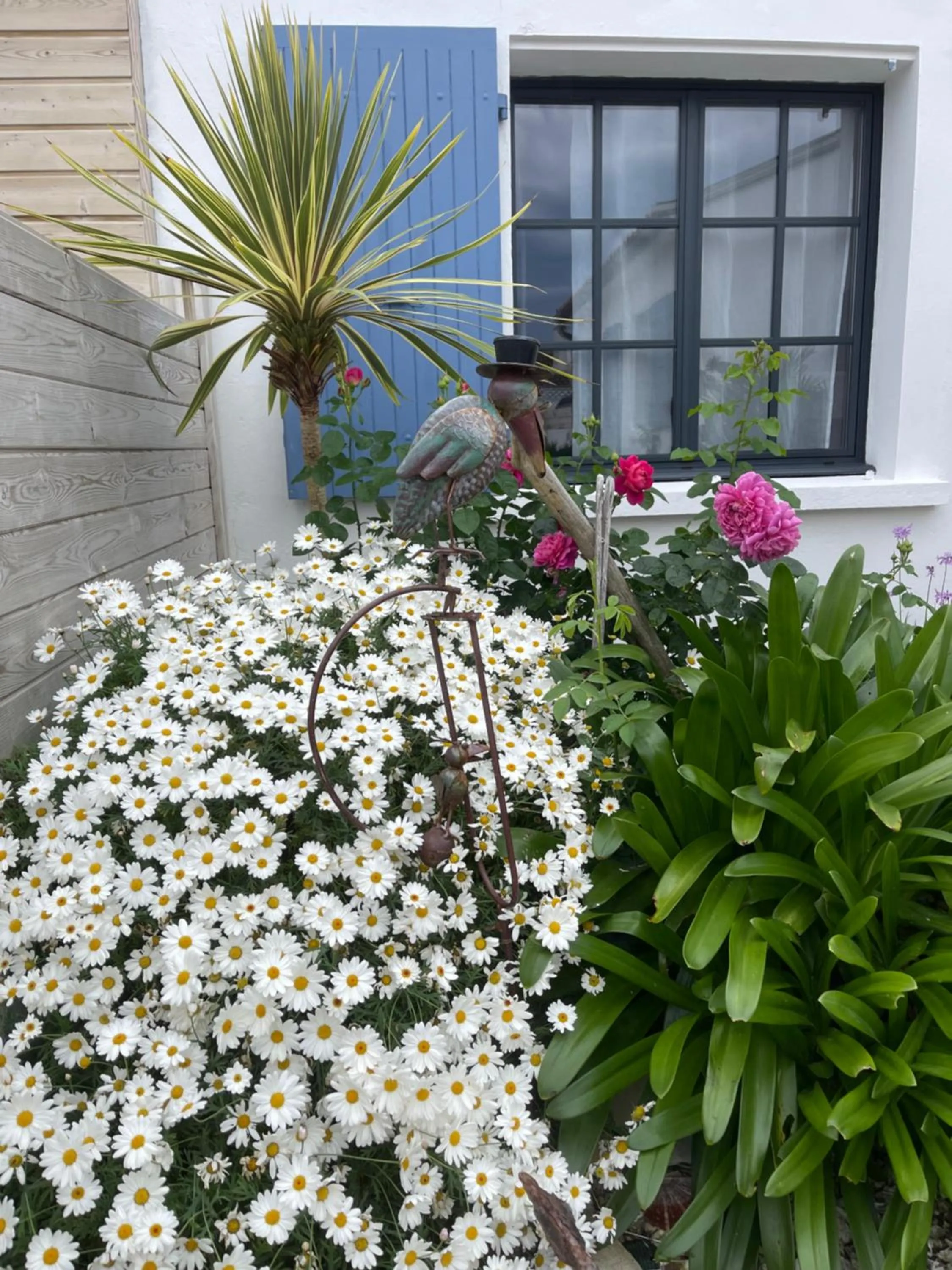 Garden in Clos des Aigrettes -6 Gîtes de charme et confort à 30m du Port de La Cotinière