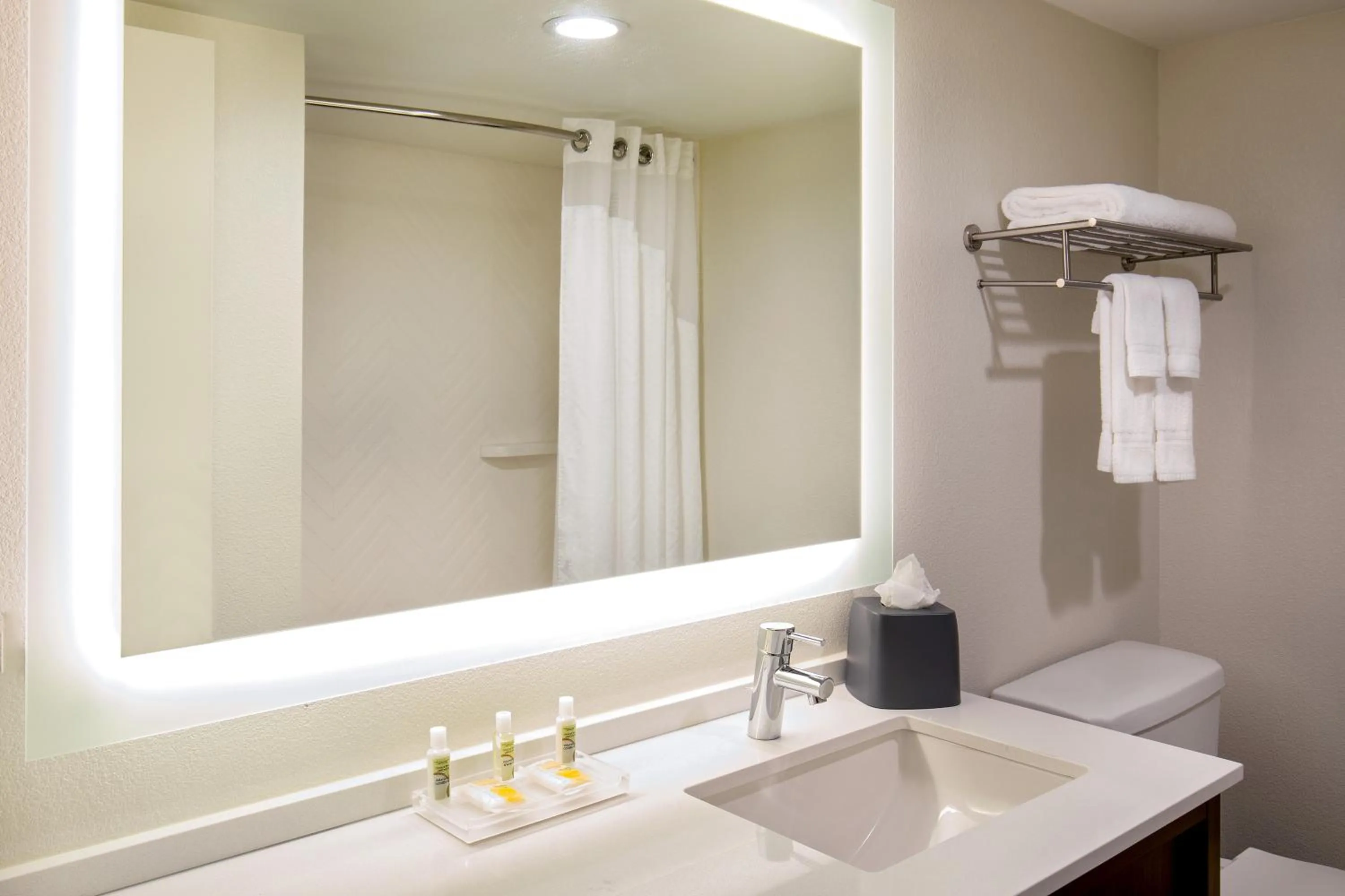 Bathroom in Holiday Inn Newport News - Hampton by IHG