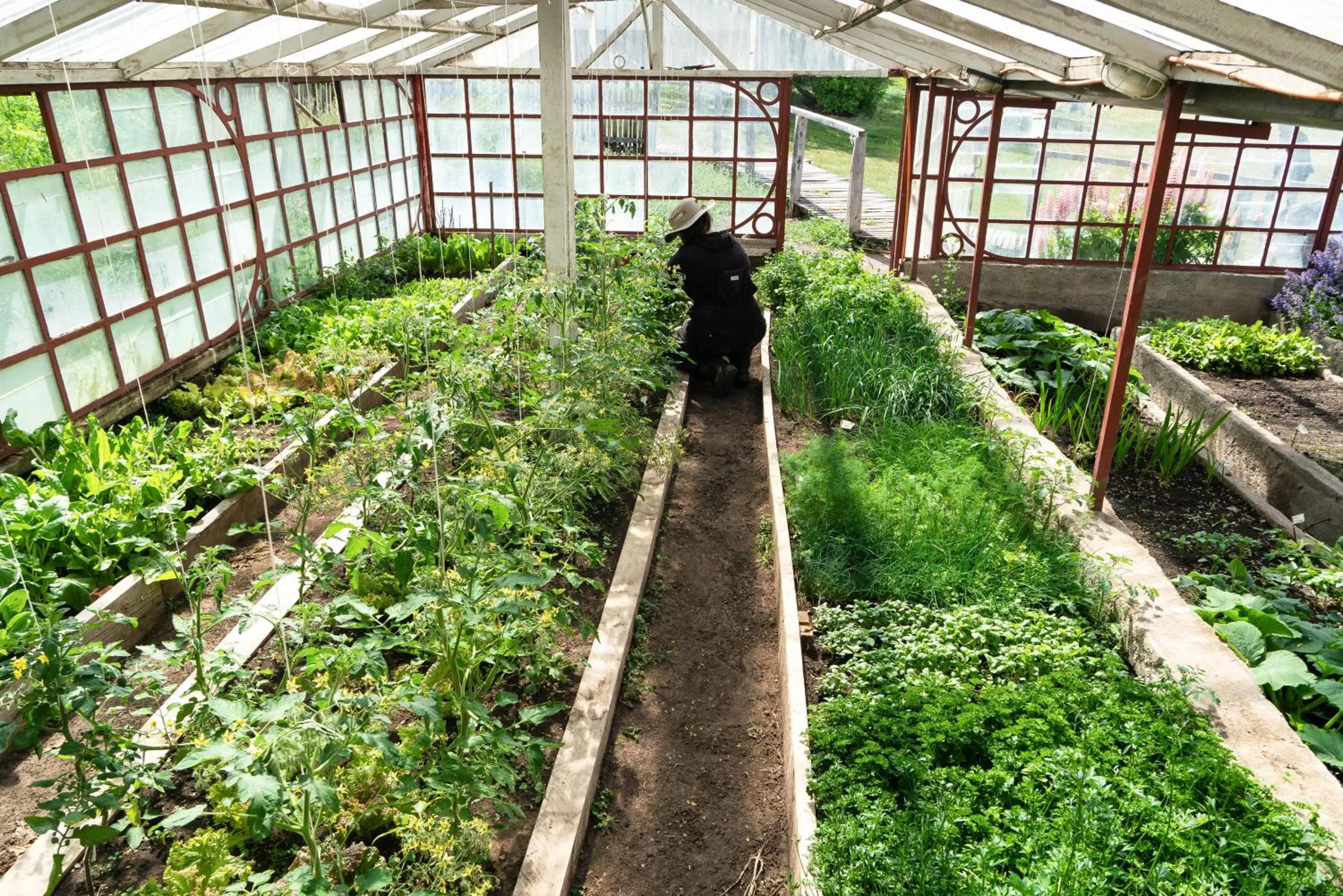 Spring in Estancia Cerro Guido