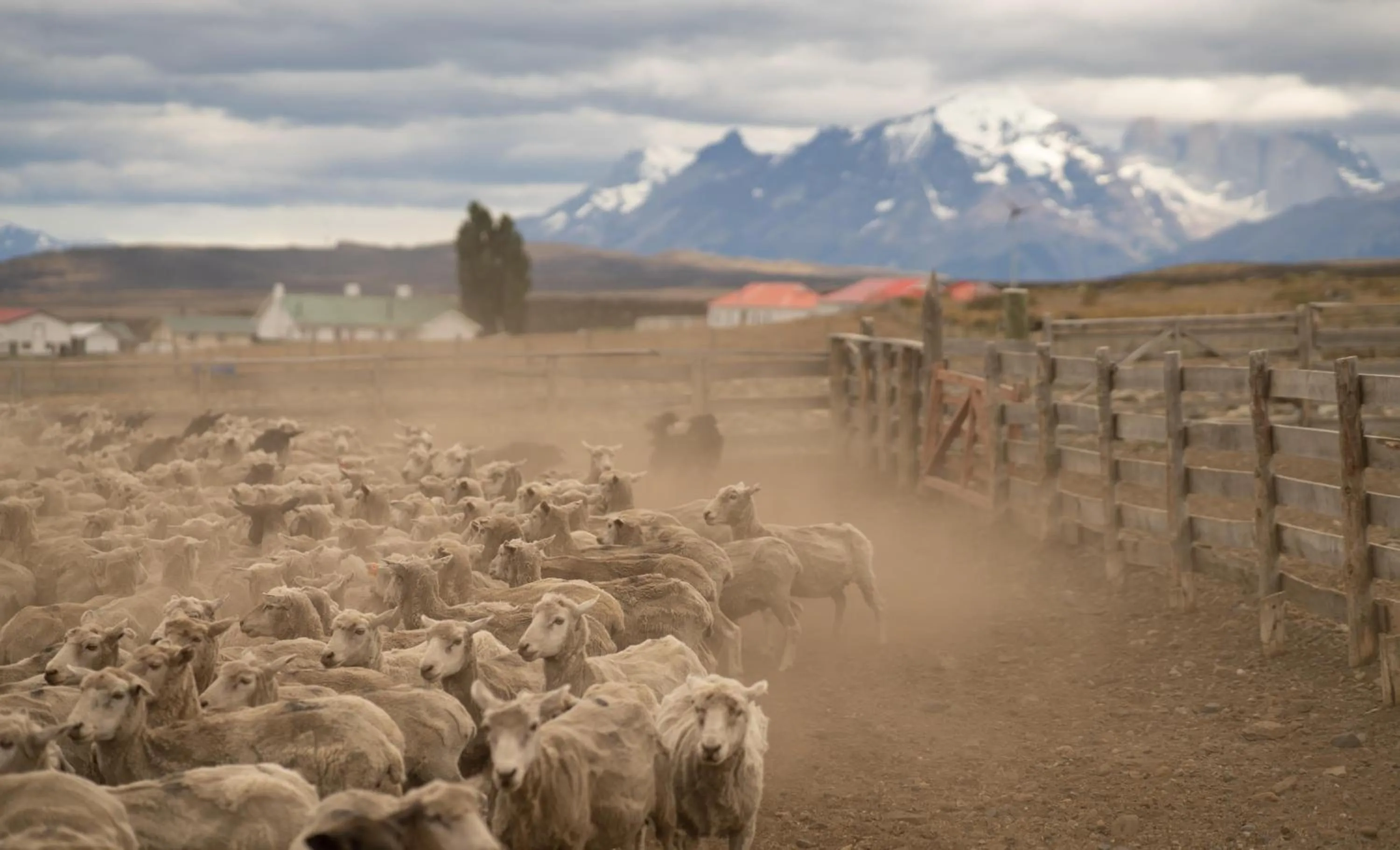 Natural landscape in Estancia Cerro Guido