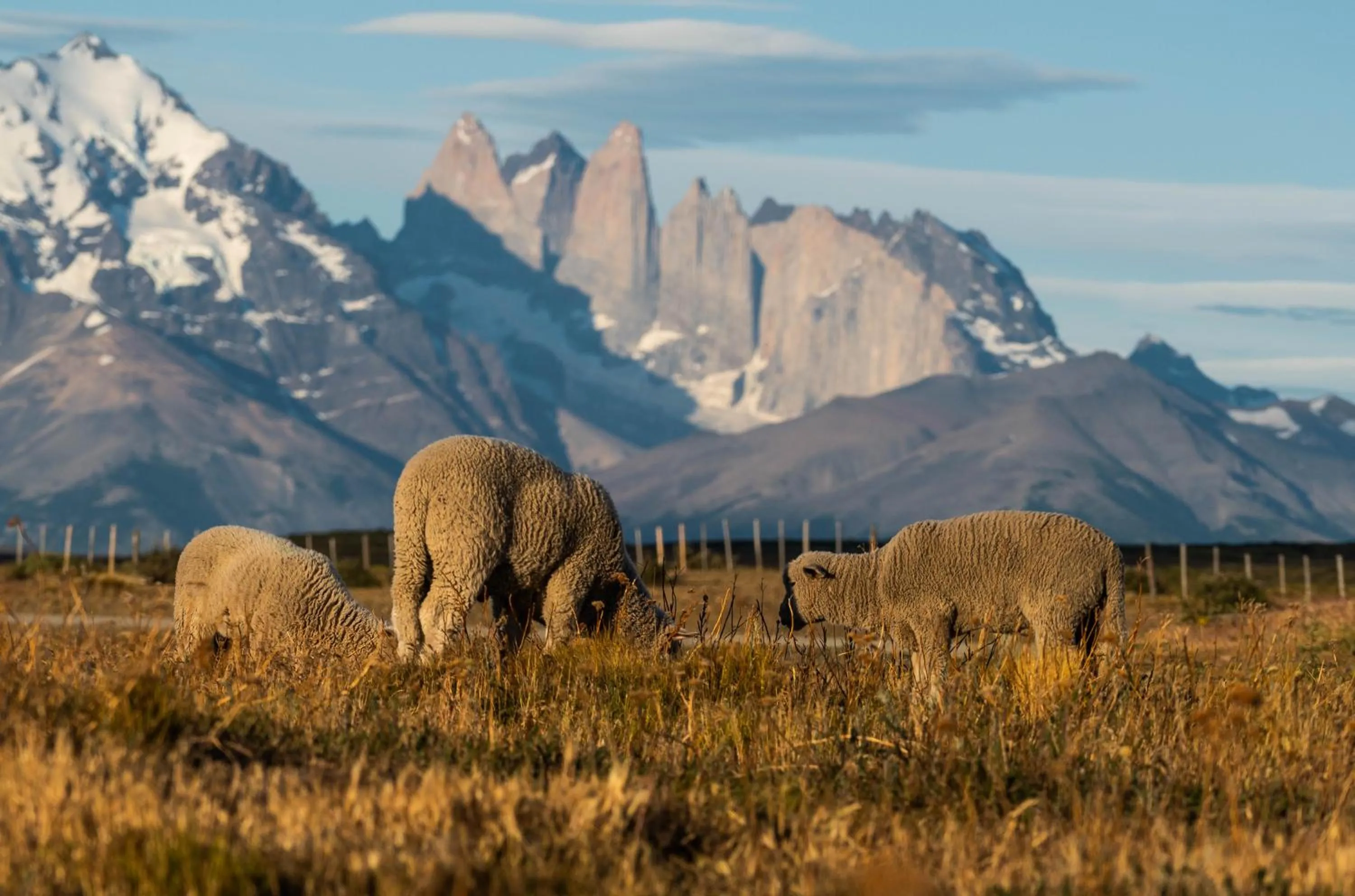 Nearby landmark in Estancia Cerro Guido