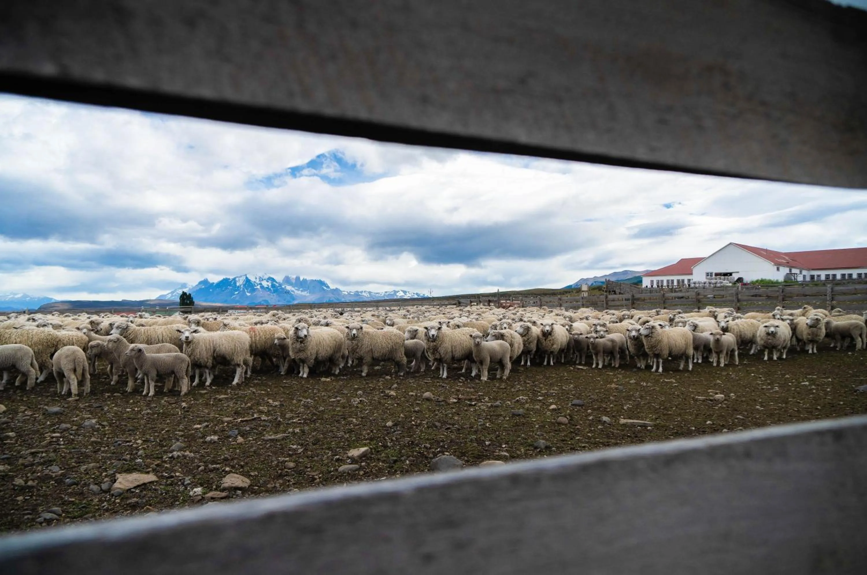Nearby landmark in Estancia Cerro Guido