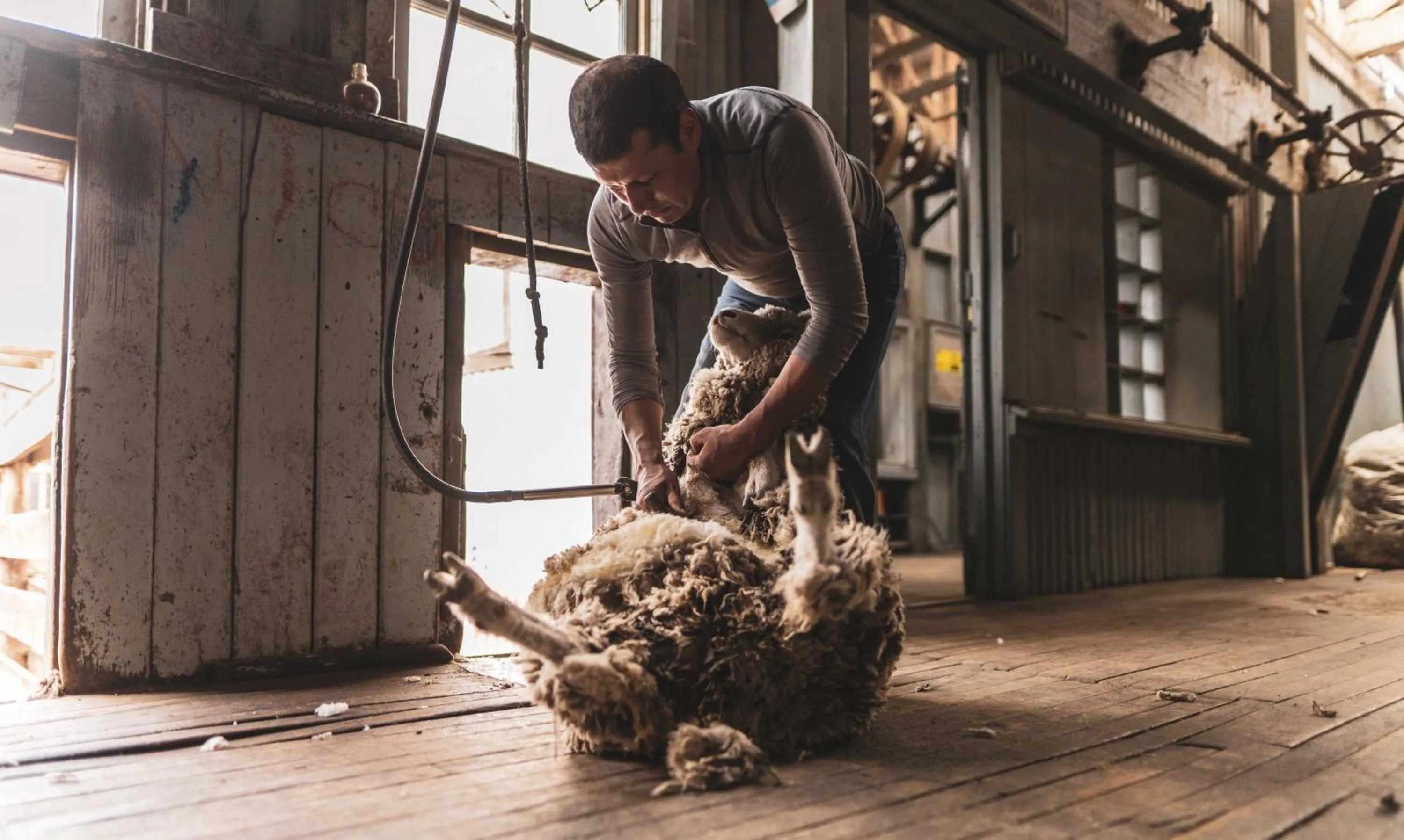 Activities in Estancia Cerro Guido