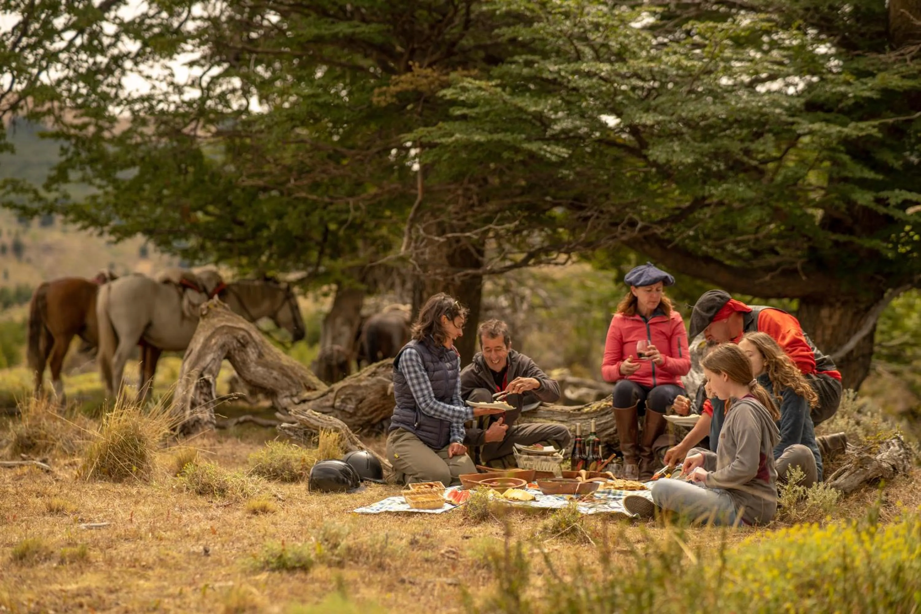 Activities in Estancia Cerro Guido