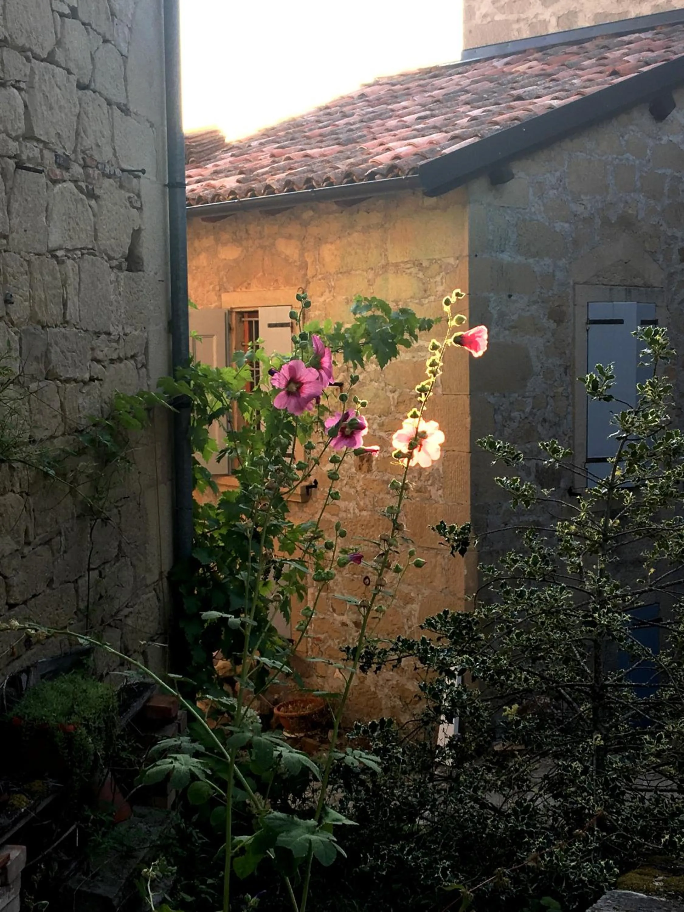 Patio in B&B Antico Mulino
