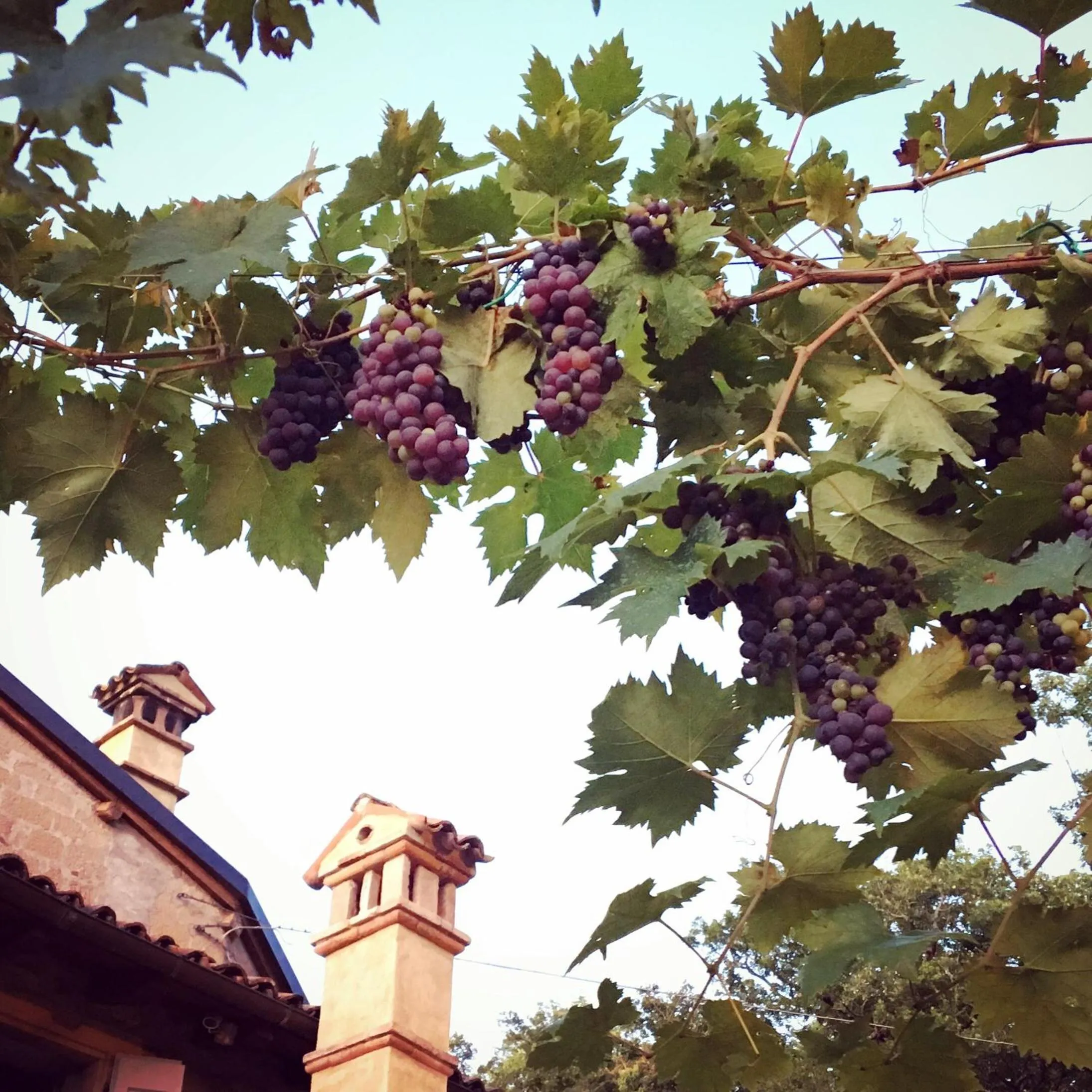 Patio in B&B Antico Mulino