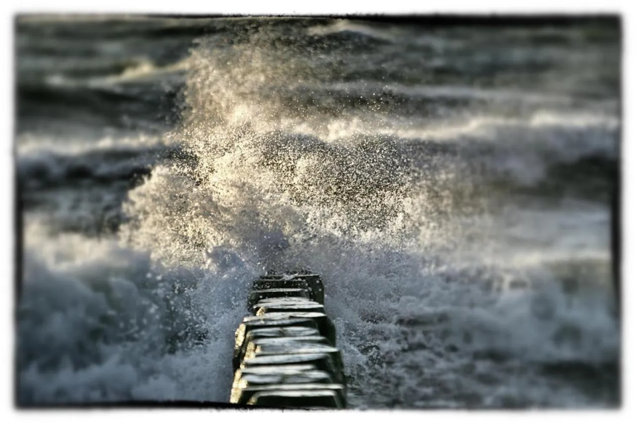 View (from property/room) in Der Fischländer Garni