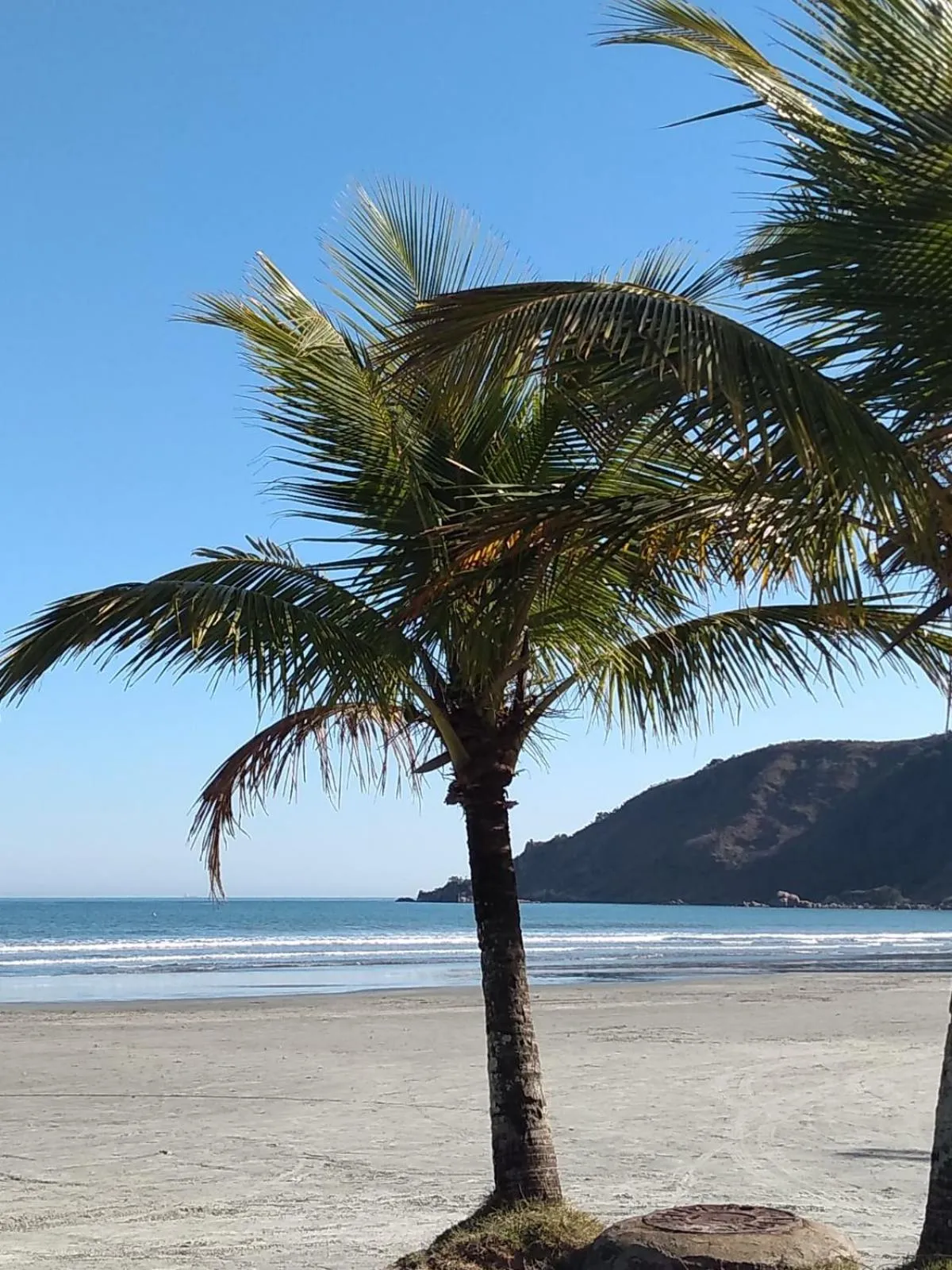 Hotel Portal da Praia