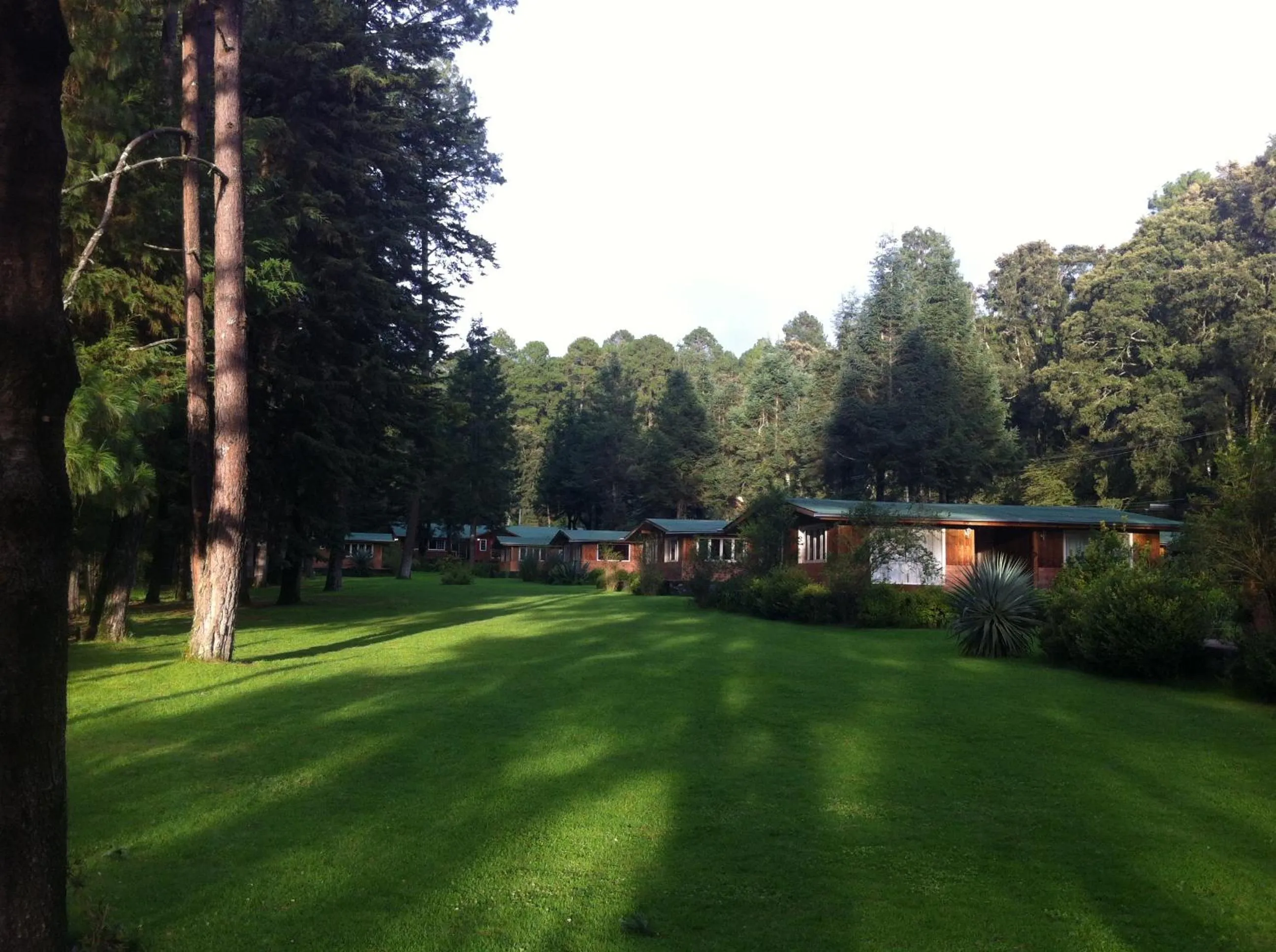 Garden in Hotel Rancho Viejo