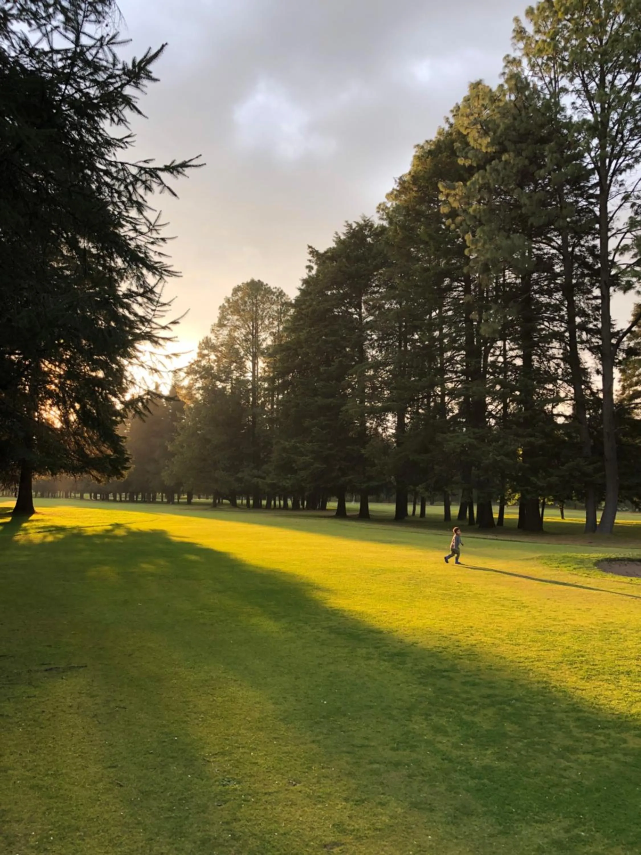 Golfcourse in Hotel Rancho Viejo