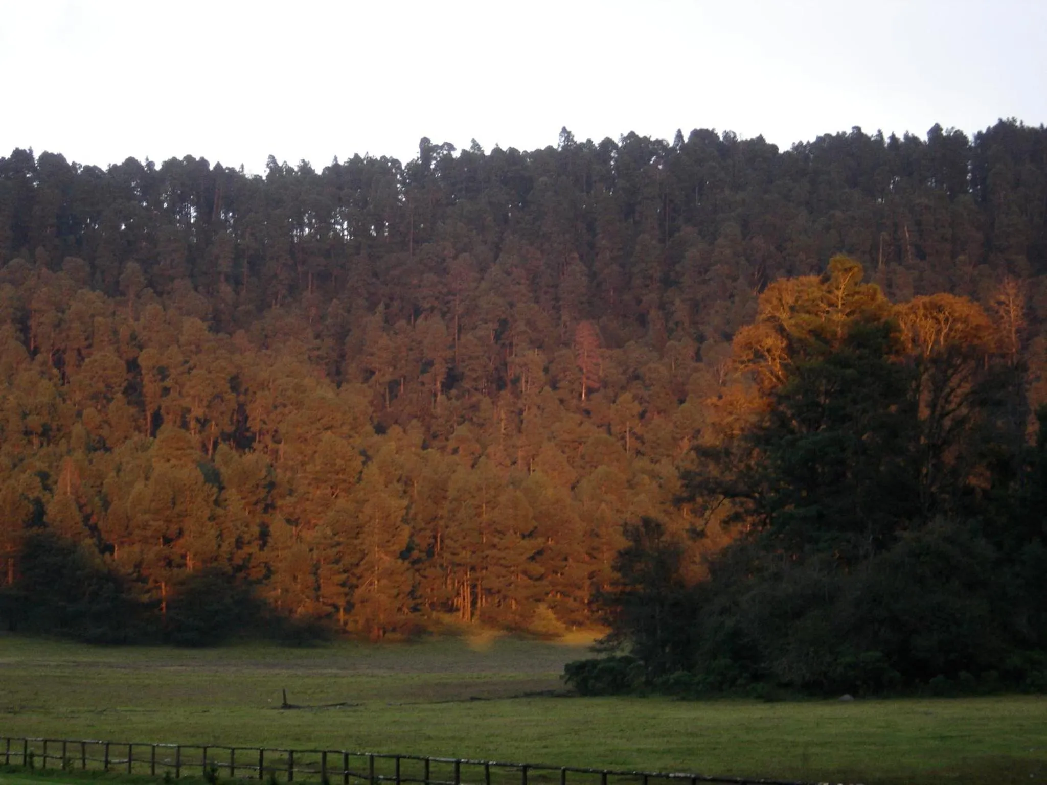 Natural landscape in Hotel Rancho Viejo