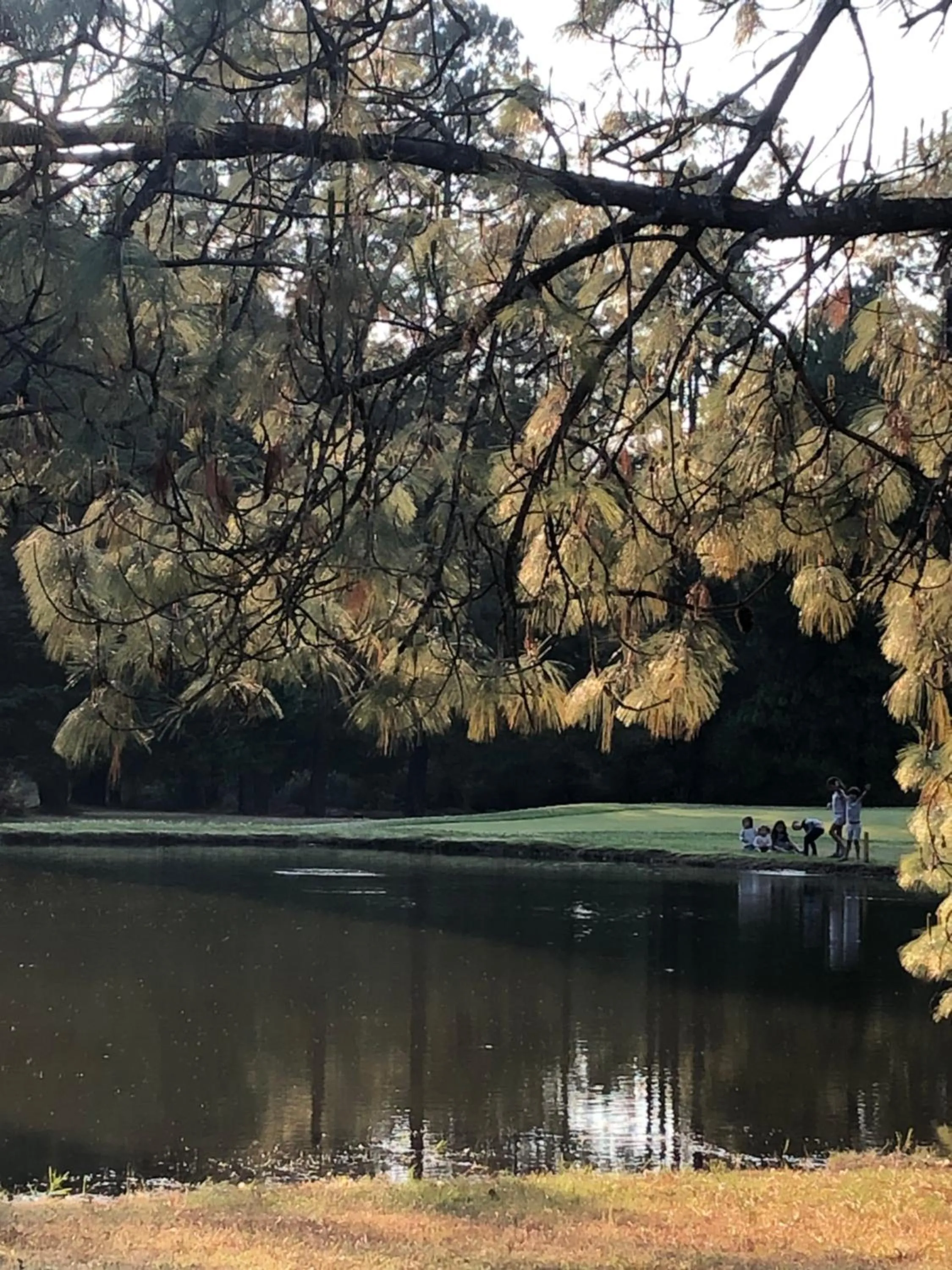 Golfcourse in Hotel Rancho Viejo