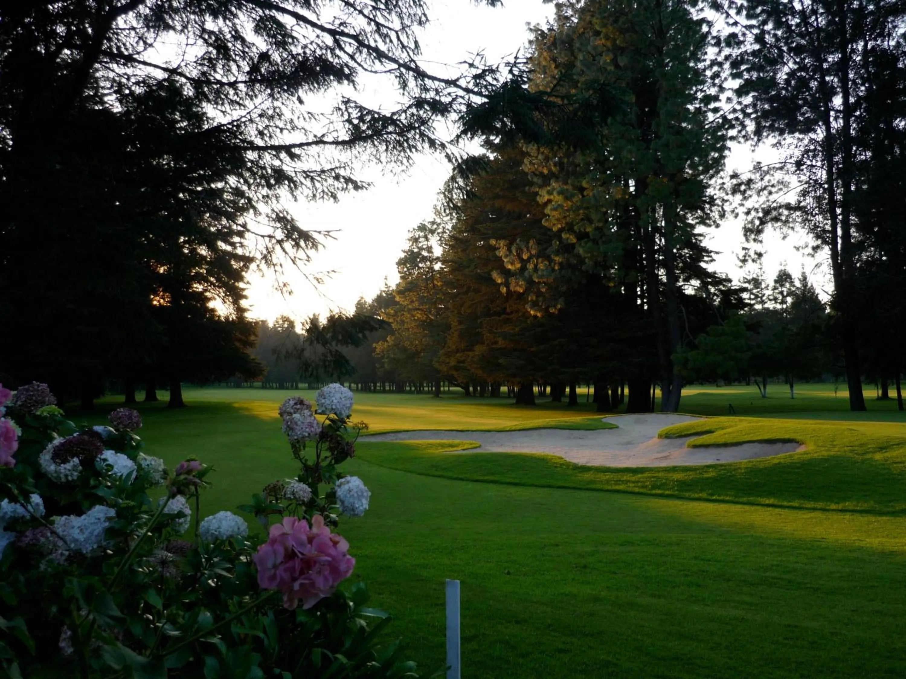 Golfcourse in Hotel Rancho Viejo