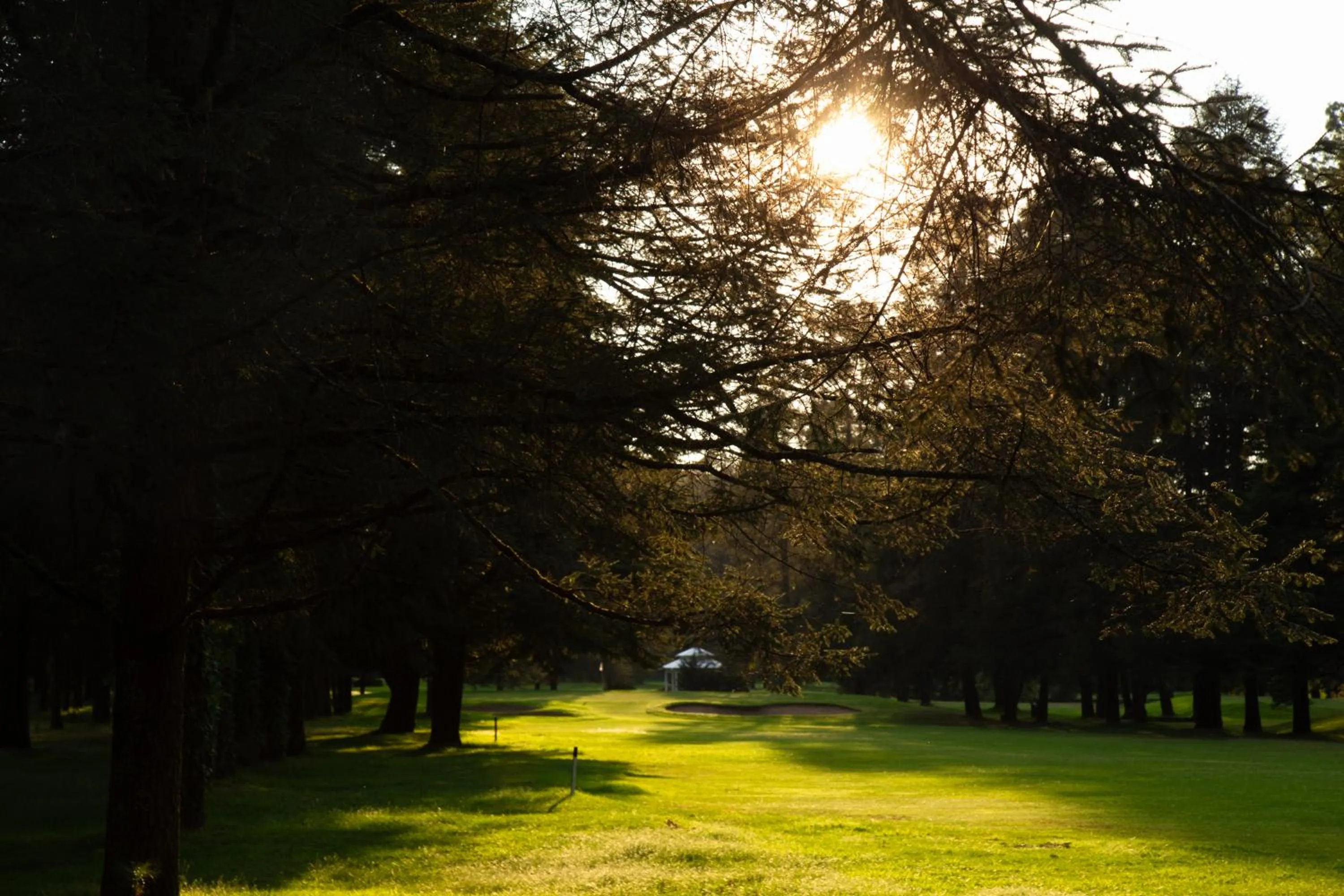 Golfcourse in Hotel Rancho Viejo