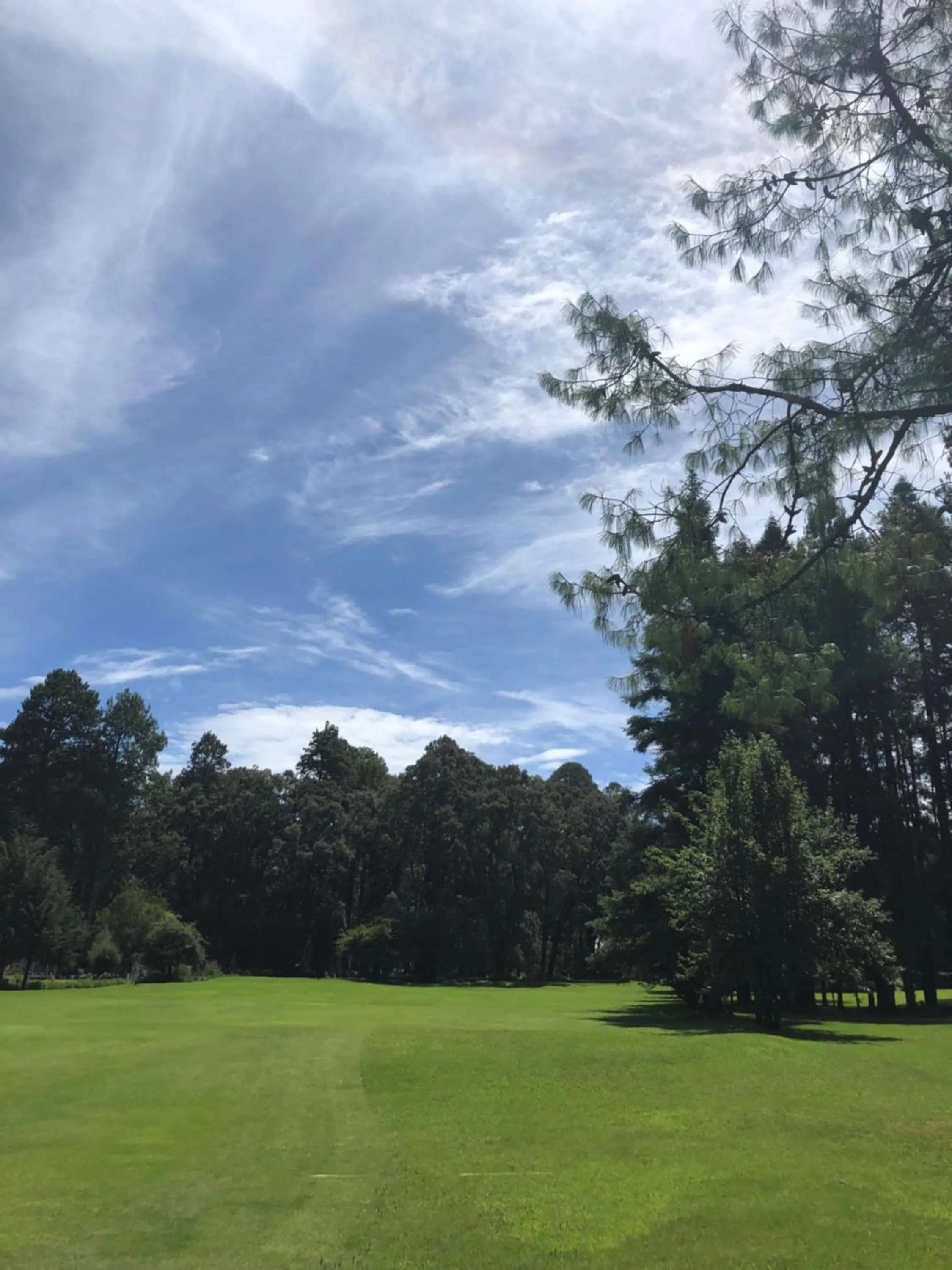 Golfcourse in Hotel Rancho Viejo