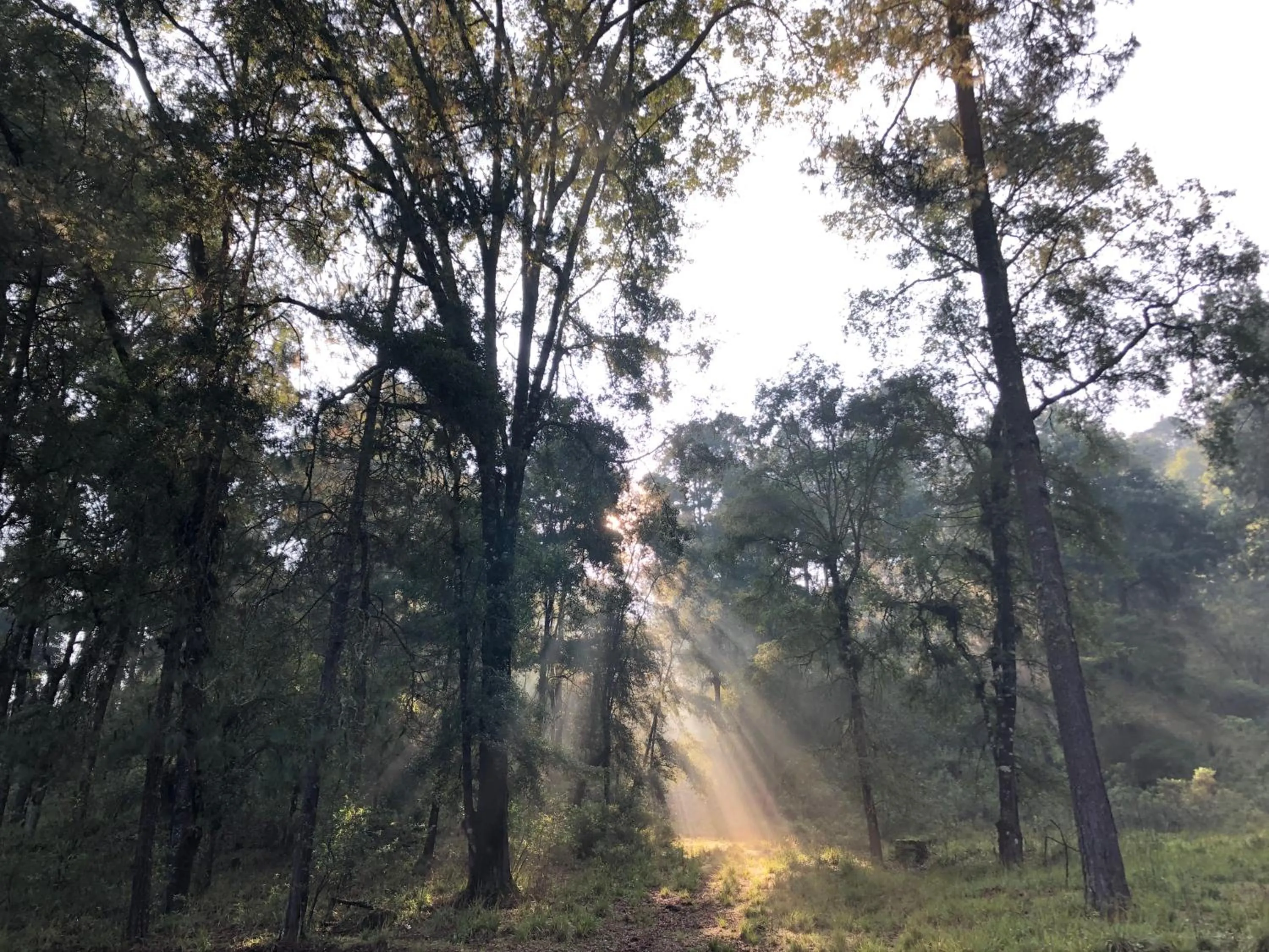 Natural landscape in Hotel Rancho Viejo