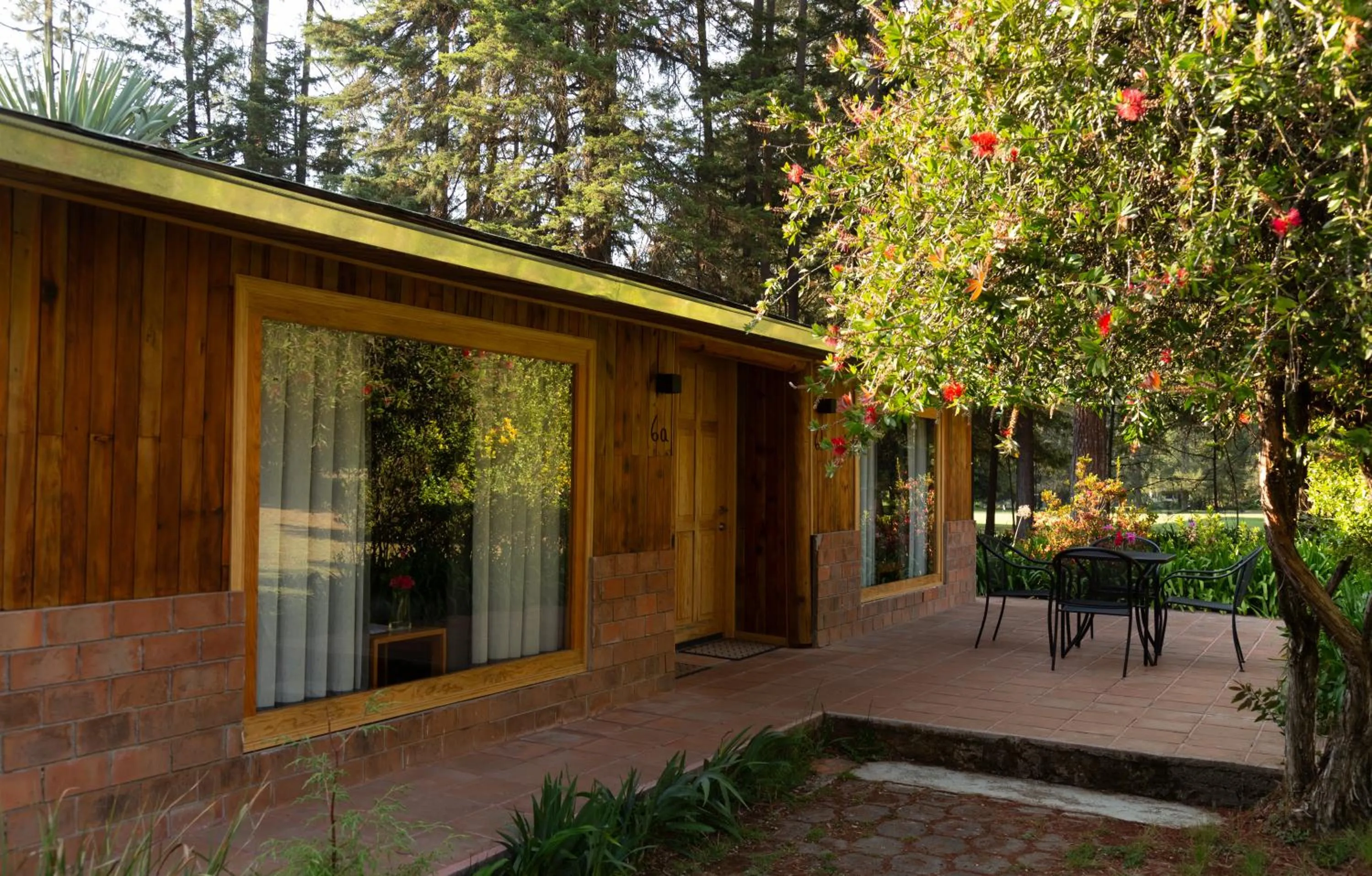Balcony/Terrace in Hotel Rancho Viejo