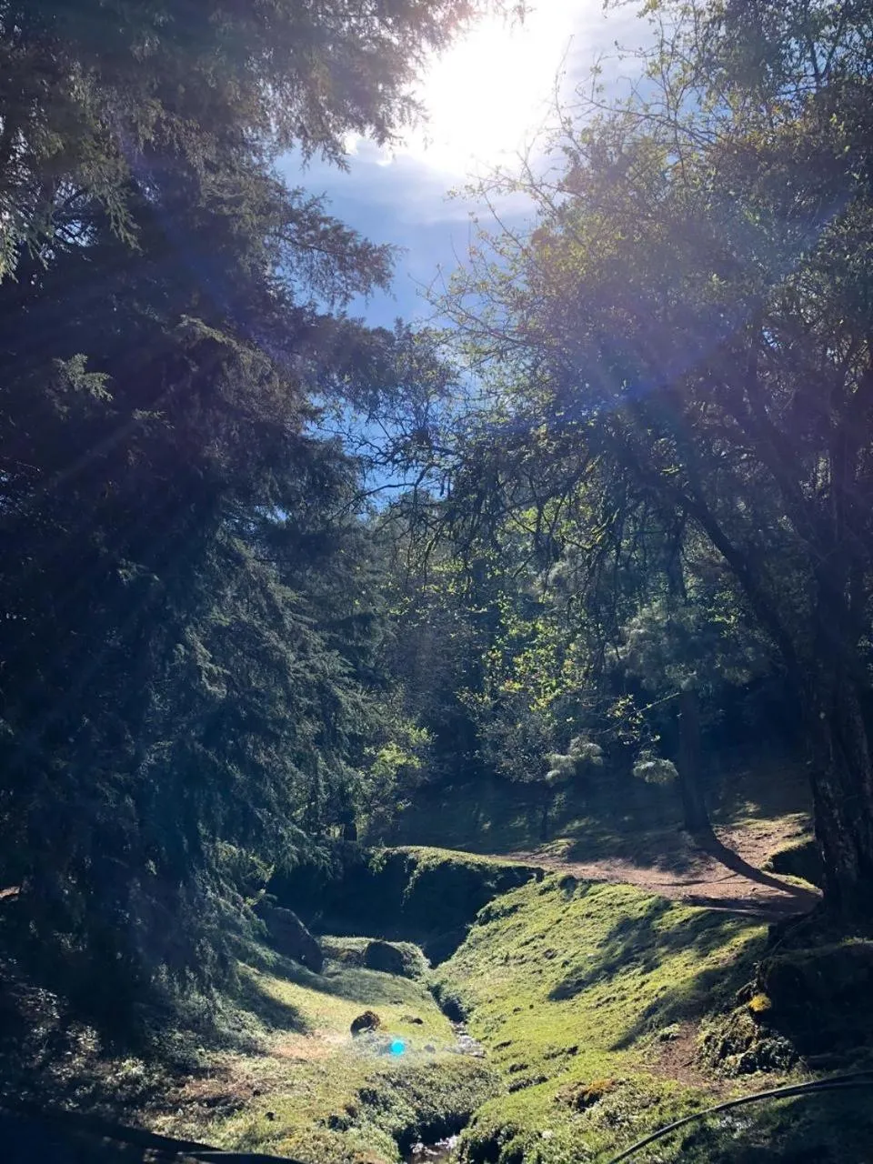 Natural landscape in Hotel Rancho Viejo