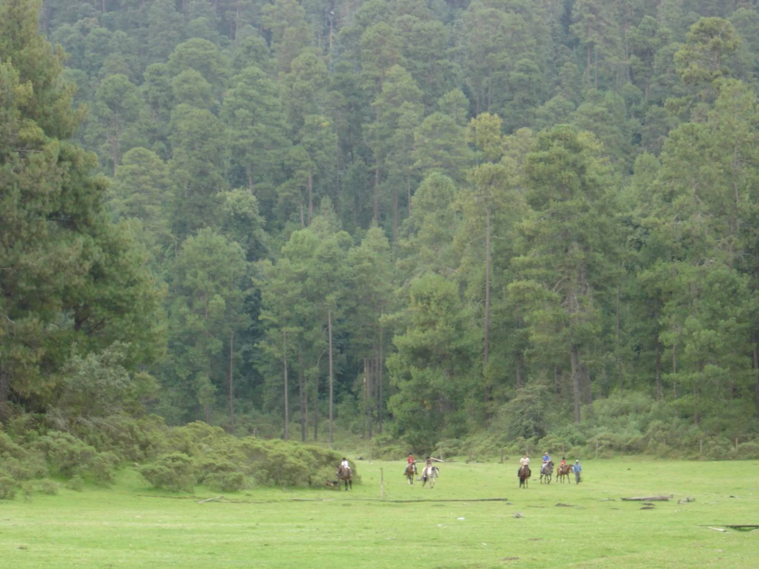 Horse-riding in Hotel Rancho Viejo