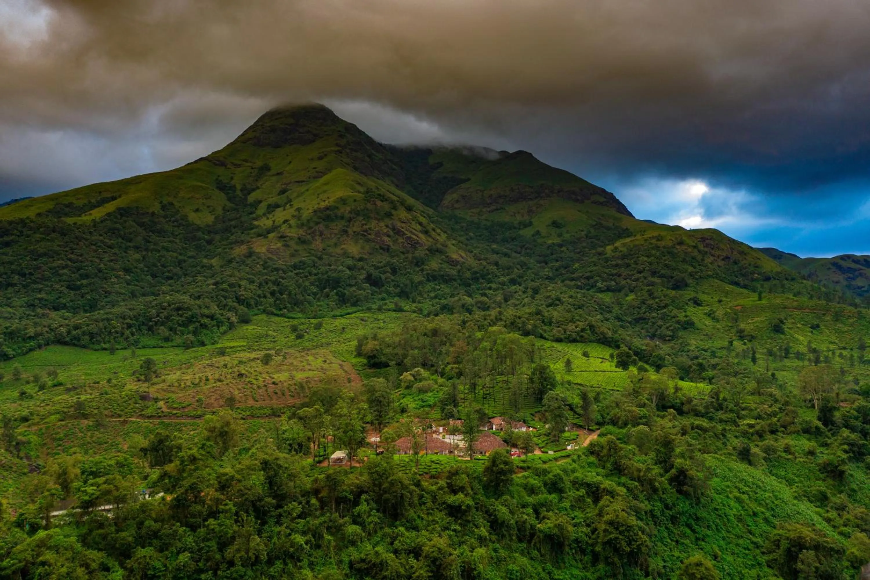 Natural landscape in Zostel Plus Wayanad