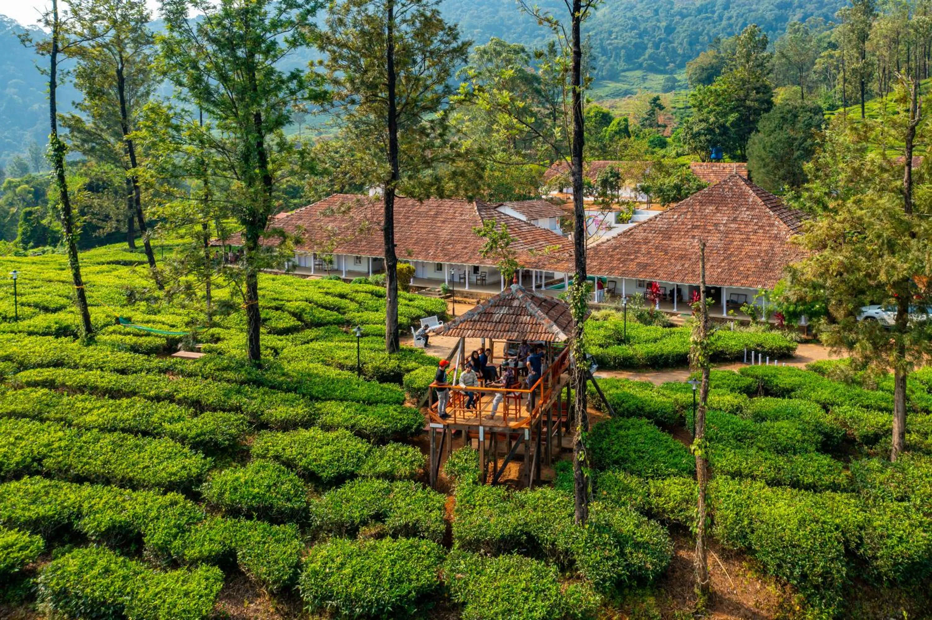 Area and facilities in Zostel Plus Wayanad