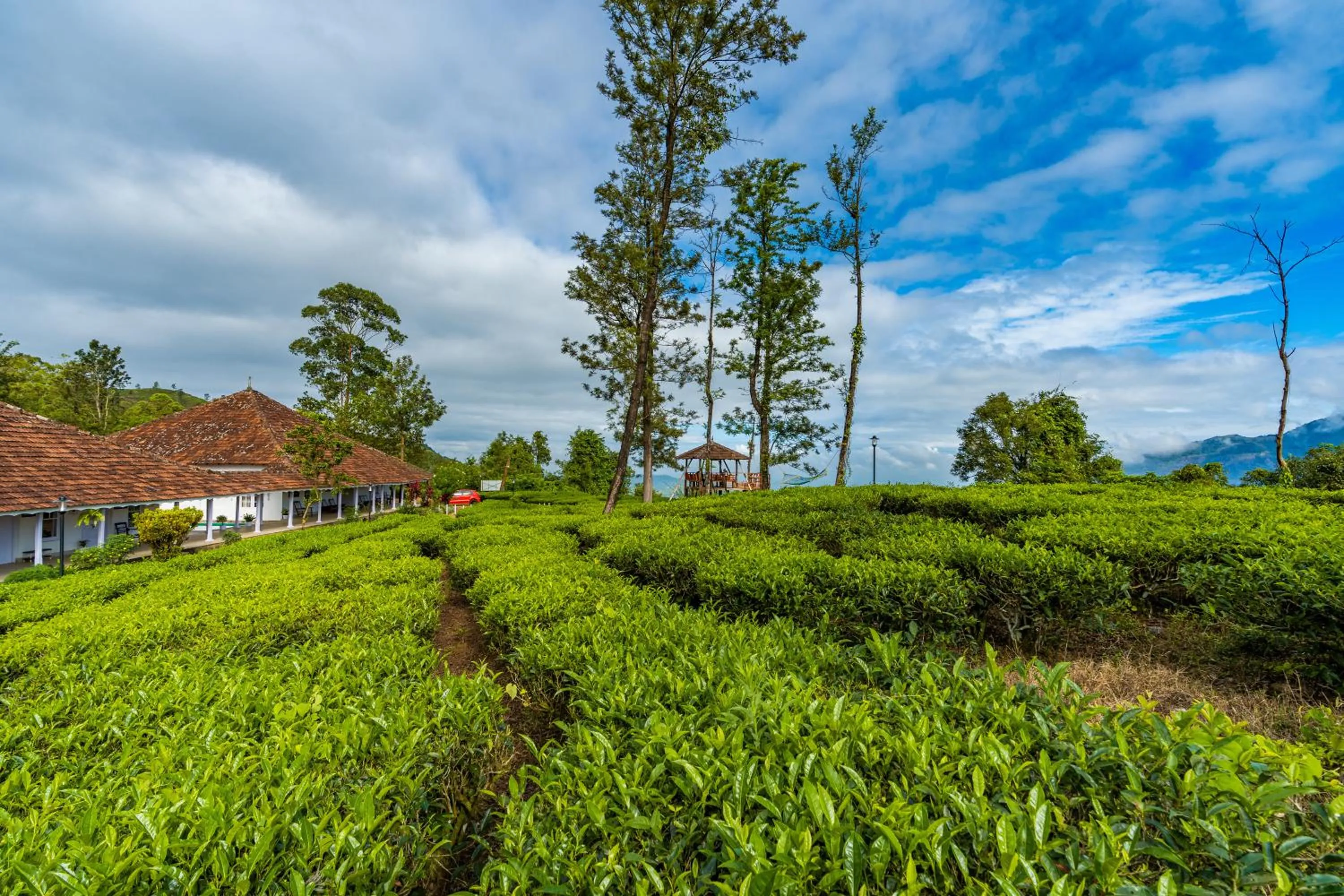 Natural landscape in Zostel Plus Wayanad